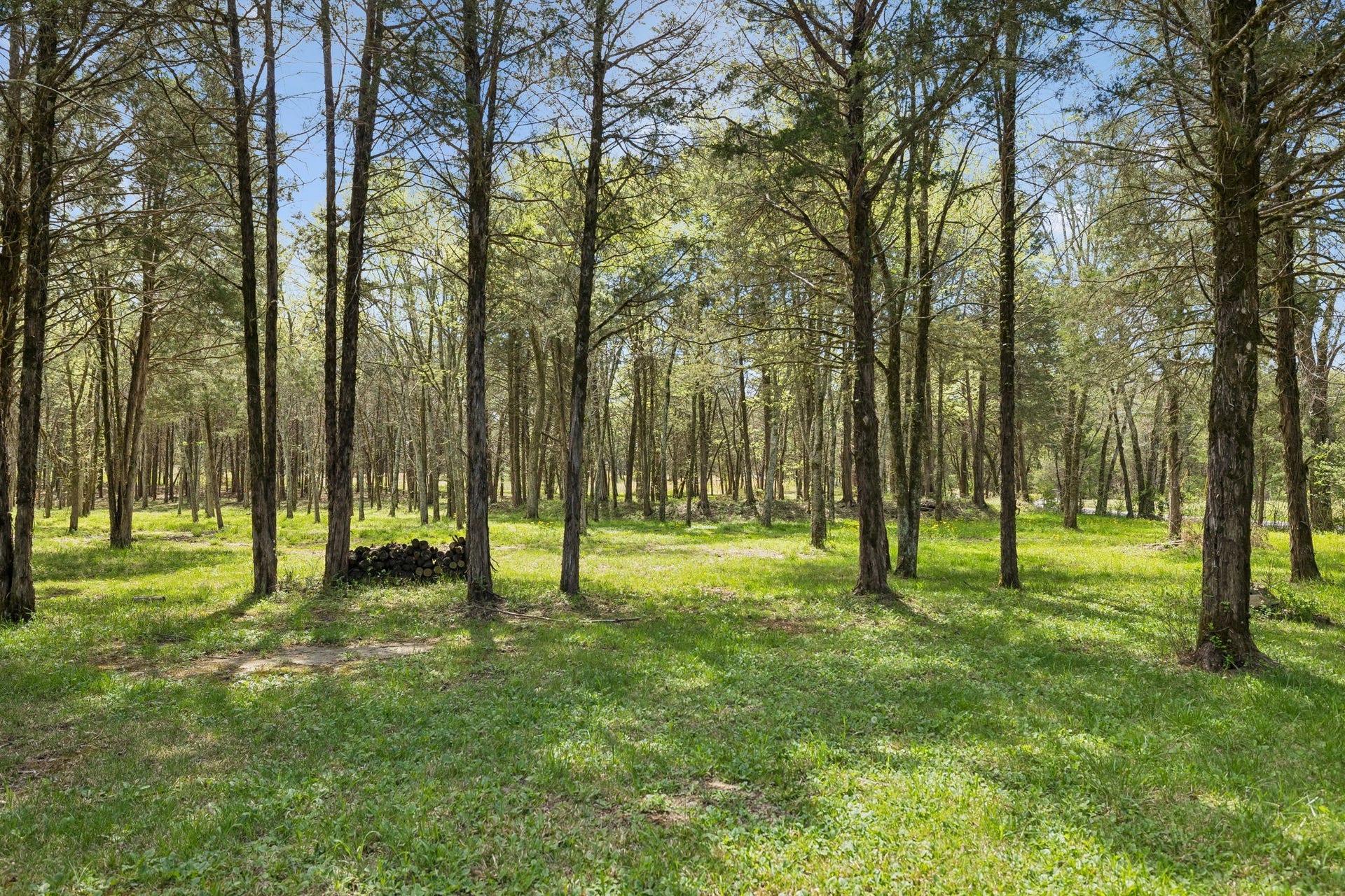 160 Osteen Ln, Chapel Hill, TN 37034 160 Osteen Ln, Chapel Hill, TN 37034