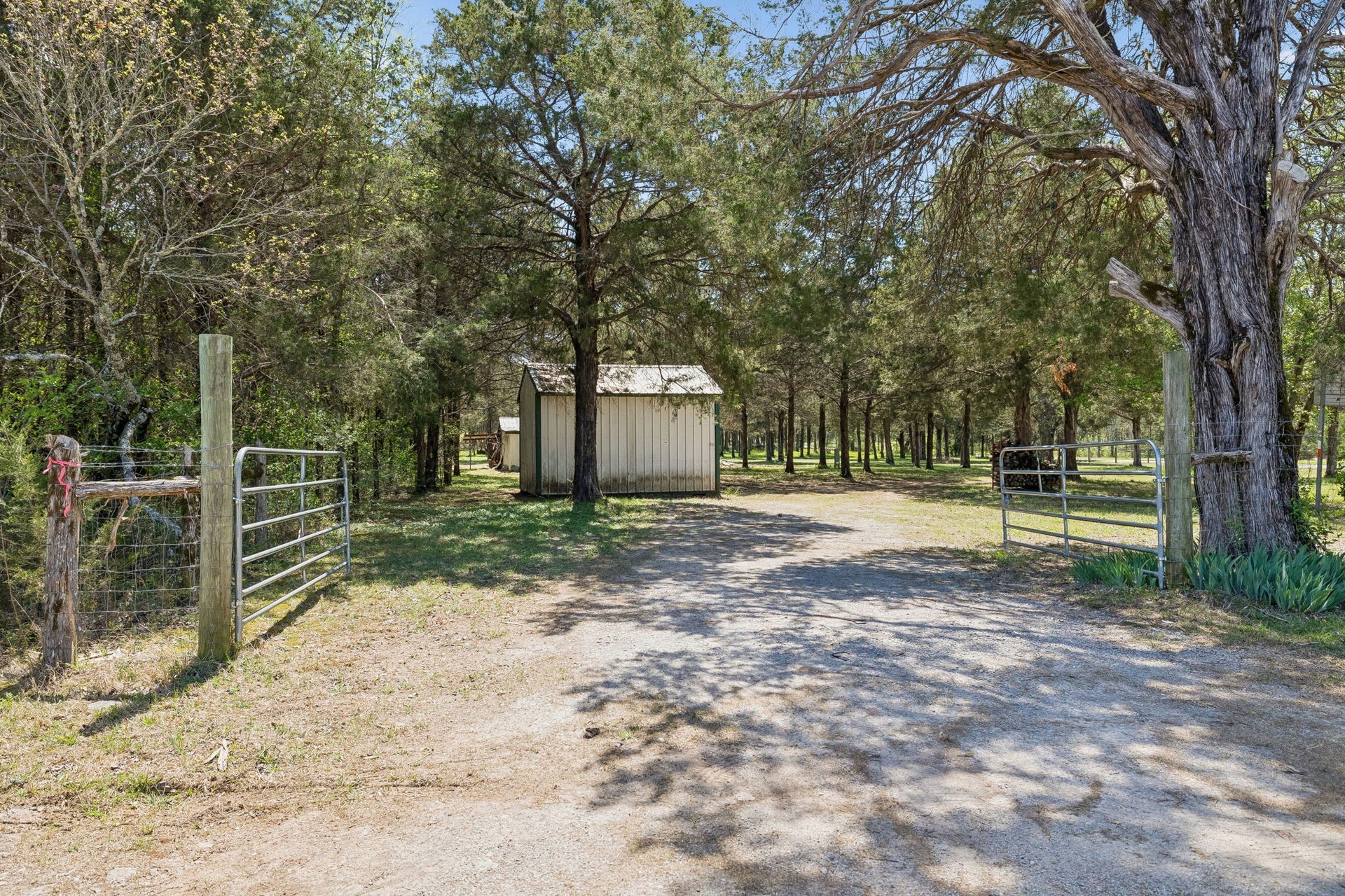160 Osteen Ln, Chapel Hill, TN 37034 160 Osteen Ln, Chapel Hill, TN 37034