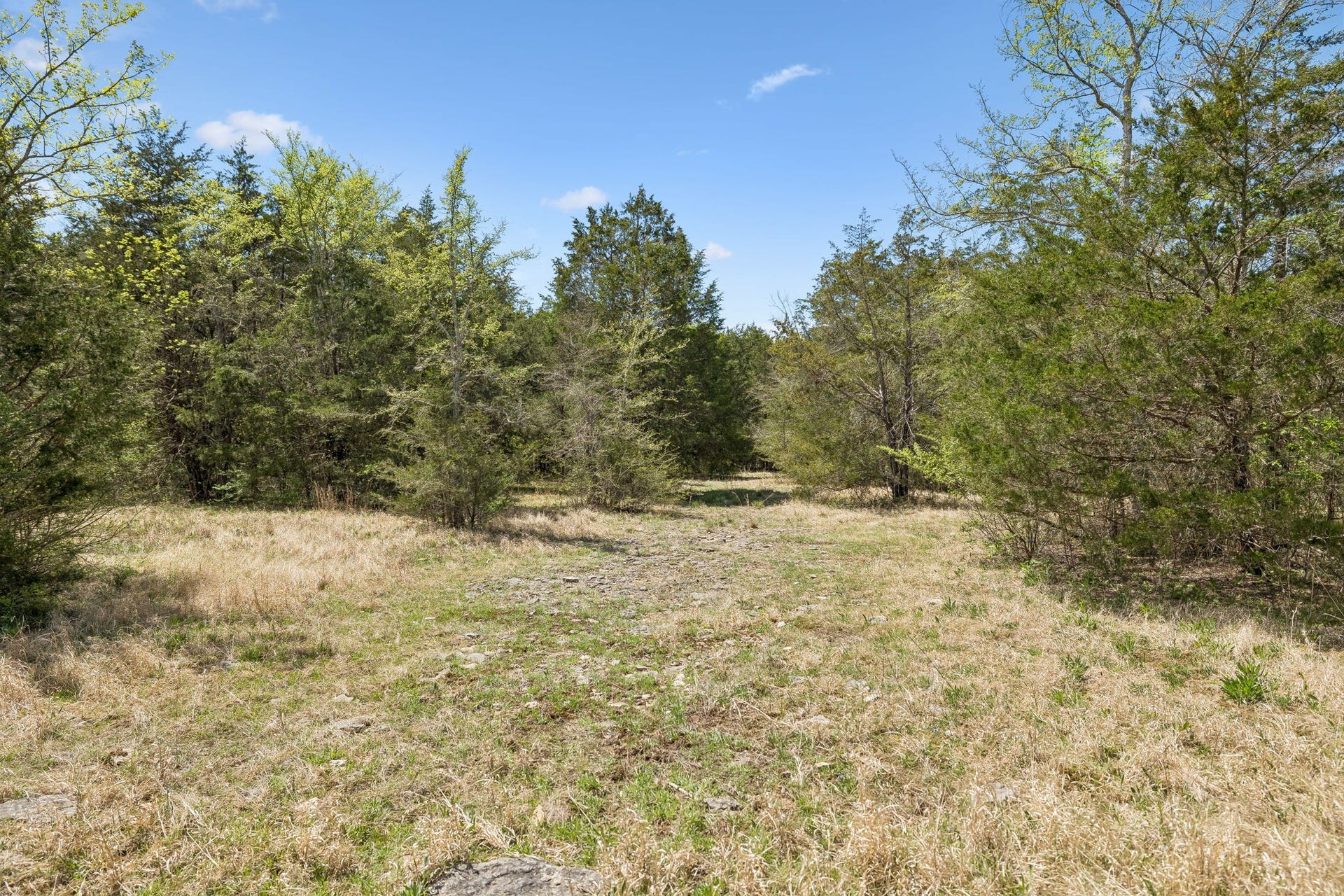 160 Osteen Ln, Chapel Hill, TN 37034 160 Osteen Ln, Chapel Hill, TN 37034