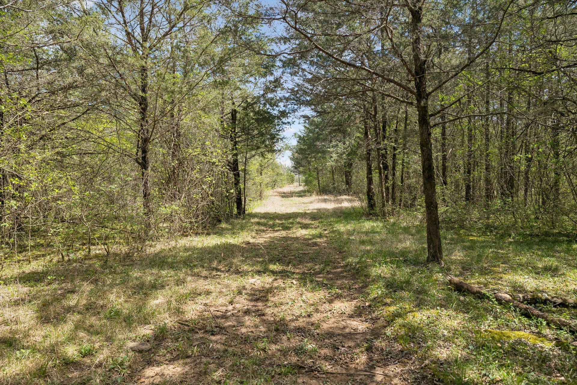 160 Osteen Ln, Chapel Hill, TN 37034 160 Osteen Ln, Chapel Hill, TN 37034