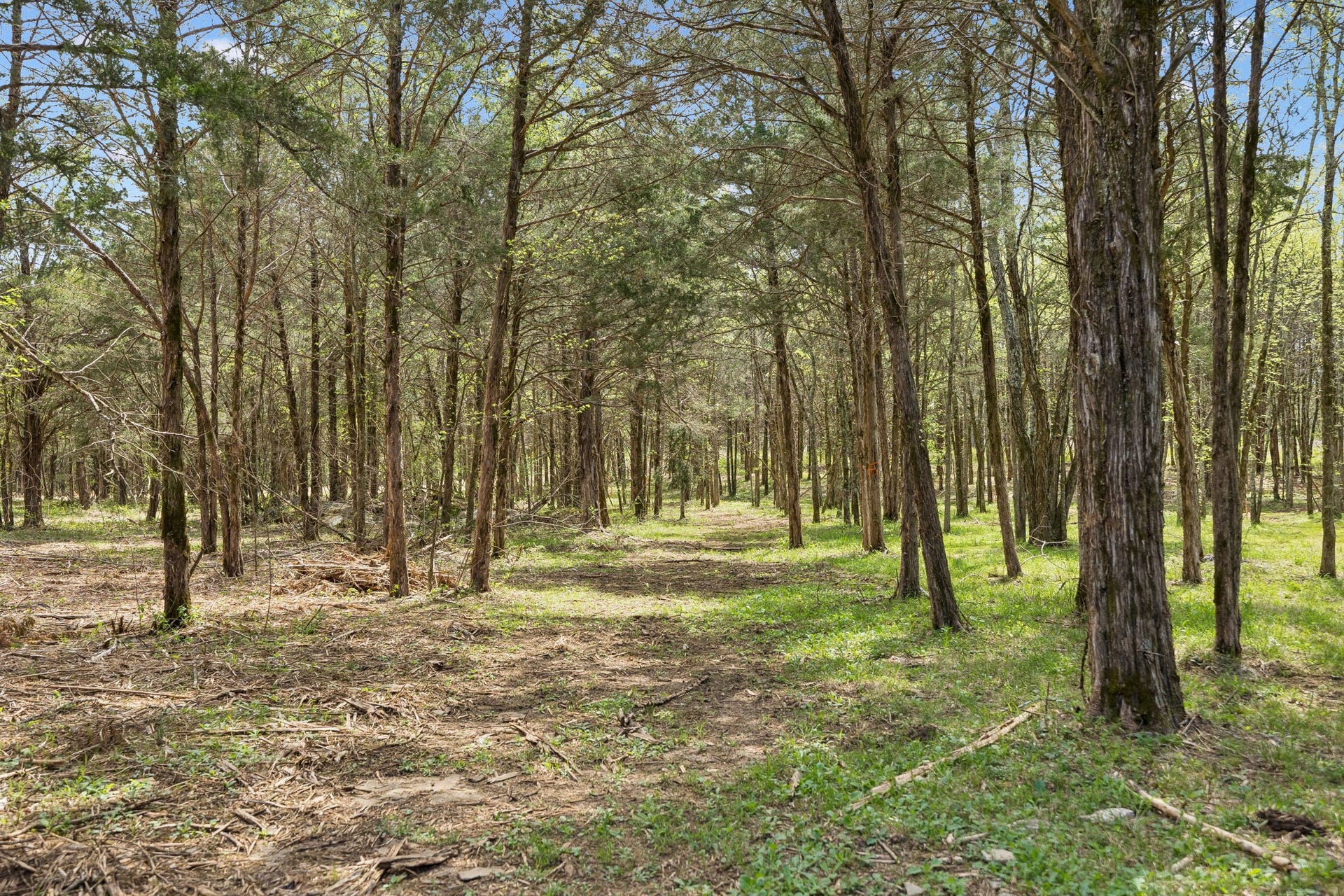 160 Osteen Ln, Chapel Hill, TN 37034 160 Osteen Ln, Chapel Hill, TN 37034