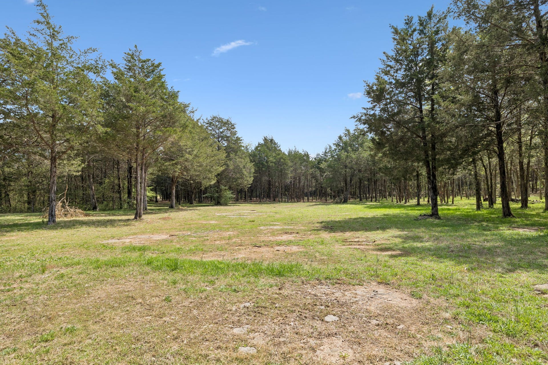 160 Osteen Ln, Chapel Hill, TN 37034 160 Osteen Ln, Chapel Hill, TN 37034