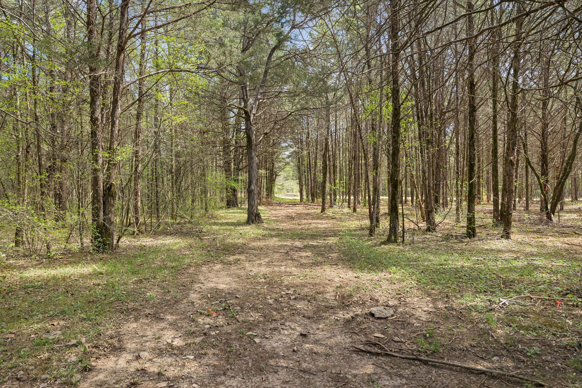 160 Osteen Ln, Chapel Hill, TN 37034 160 Osteen Ln, Chapel Hill, TN 37034