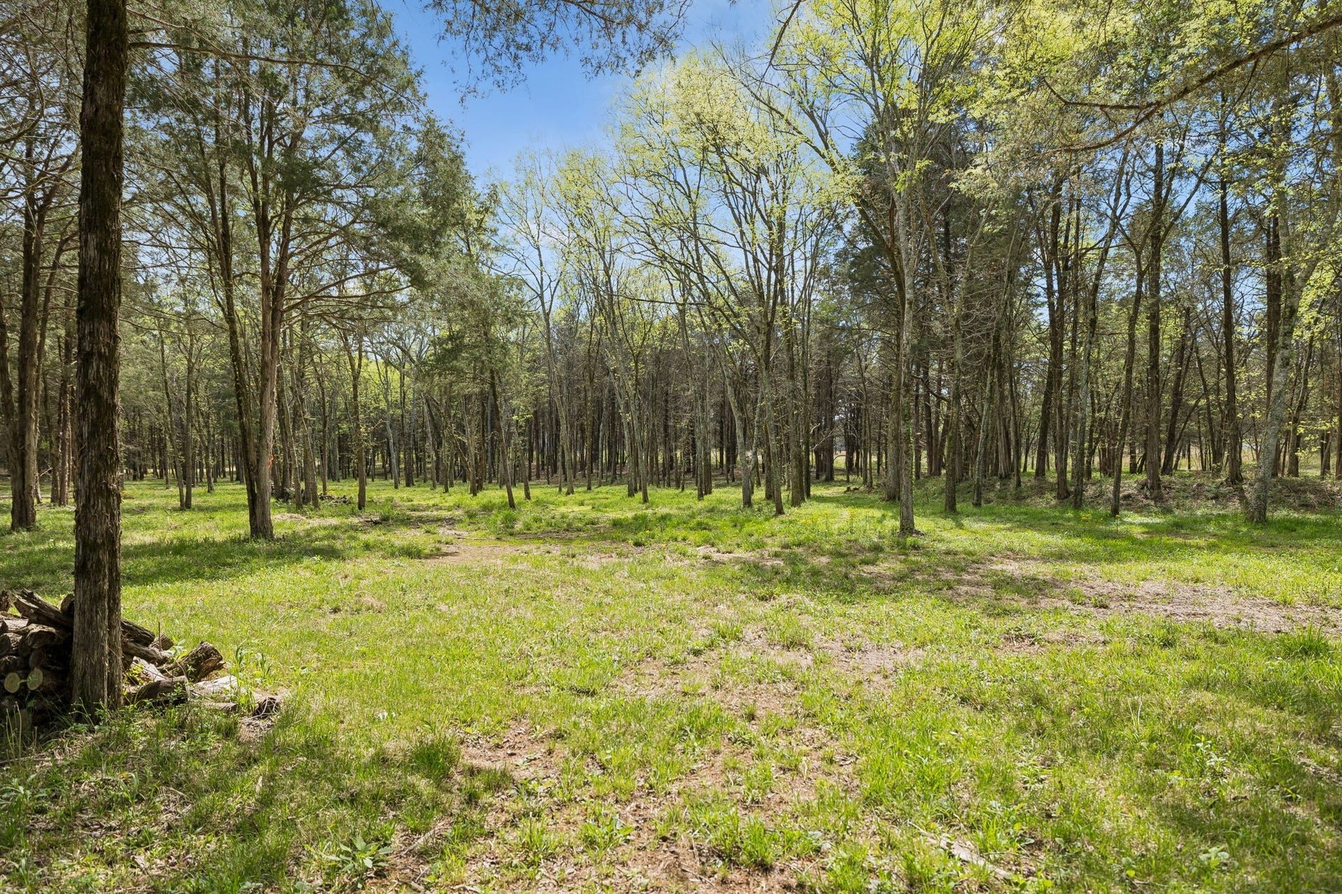 160 Osteen Ln, Chapel Hill, TN 37034 160 Osteen Ln, Chapel Hill, TN 37034