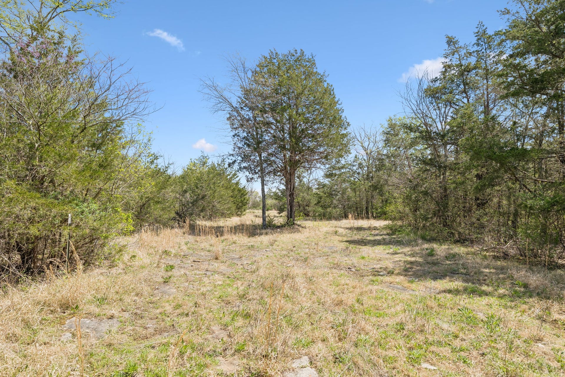 160 Osteen Ln, Chapel Hill, TN 37034 160 Osteen Ln, Chapel Hill, TN 37034