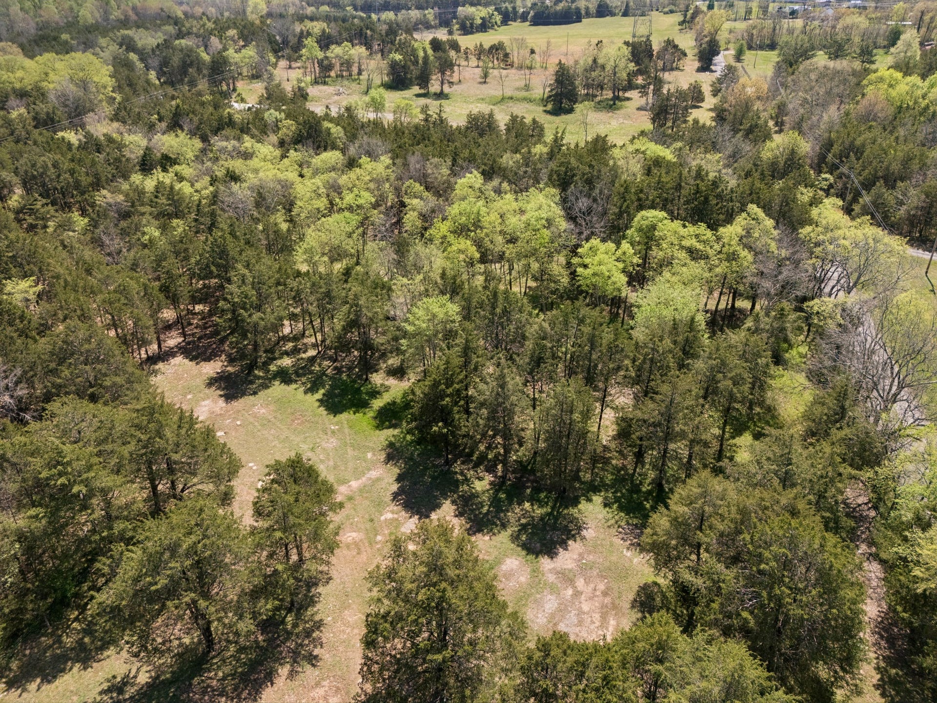 160 Osteen Ln, Chapel Hill, TN 37034 160 Osteen Ln, Chapel Hill, TN 37034