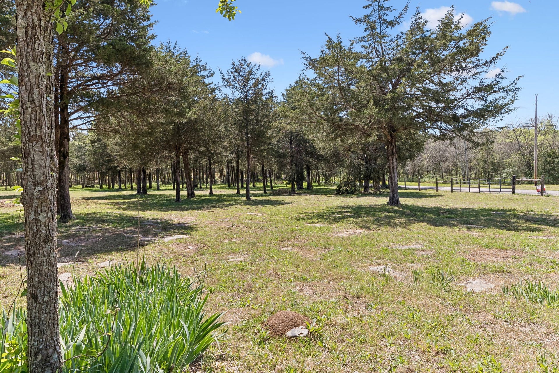 160 Osteen Ln, Chapel Hill, TN 37034 160 Osteen Ln, Chapel Hill, TN 37034