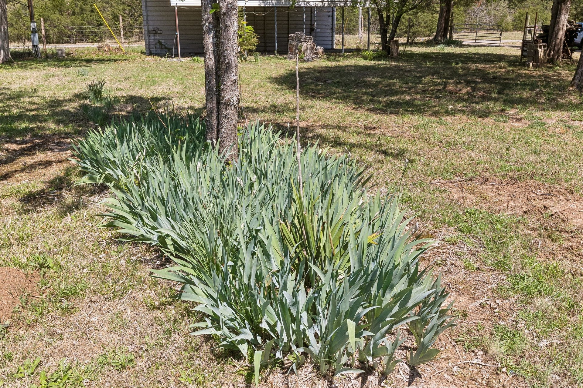 160 Osteen Ln, Chapel Hill, TN 37034 160 Osteen Ln, Chapel Hill, TN 37034