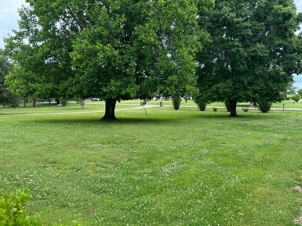 1788 Seavy Hight Rd, Columbia, TN 38401 1788 Seavy Hight Rd, Columbia, TN 38401