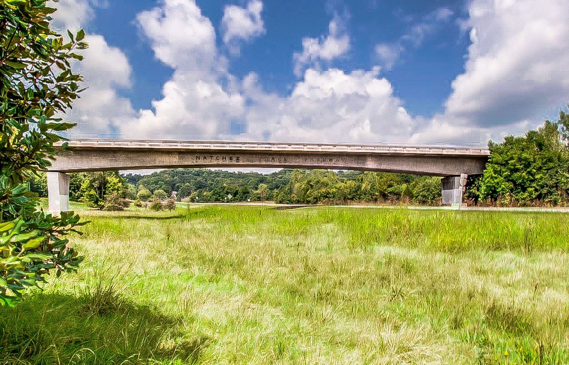 657 Wolfeboro Ln, Nashville, TN 37221 657 Wolfeboro Ln, Nashville, TN 37221
