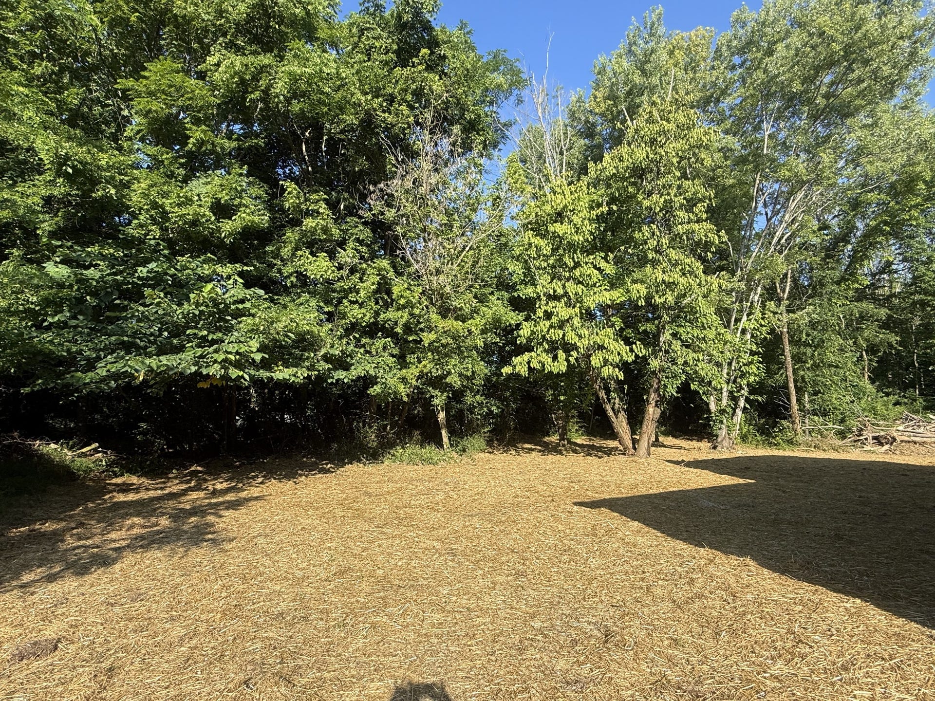 355 Summitville, Manchester, TN 37355
