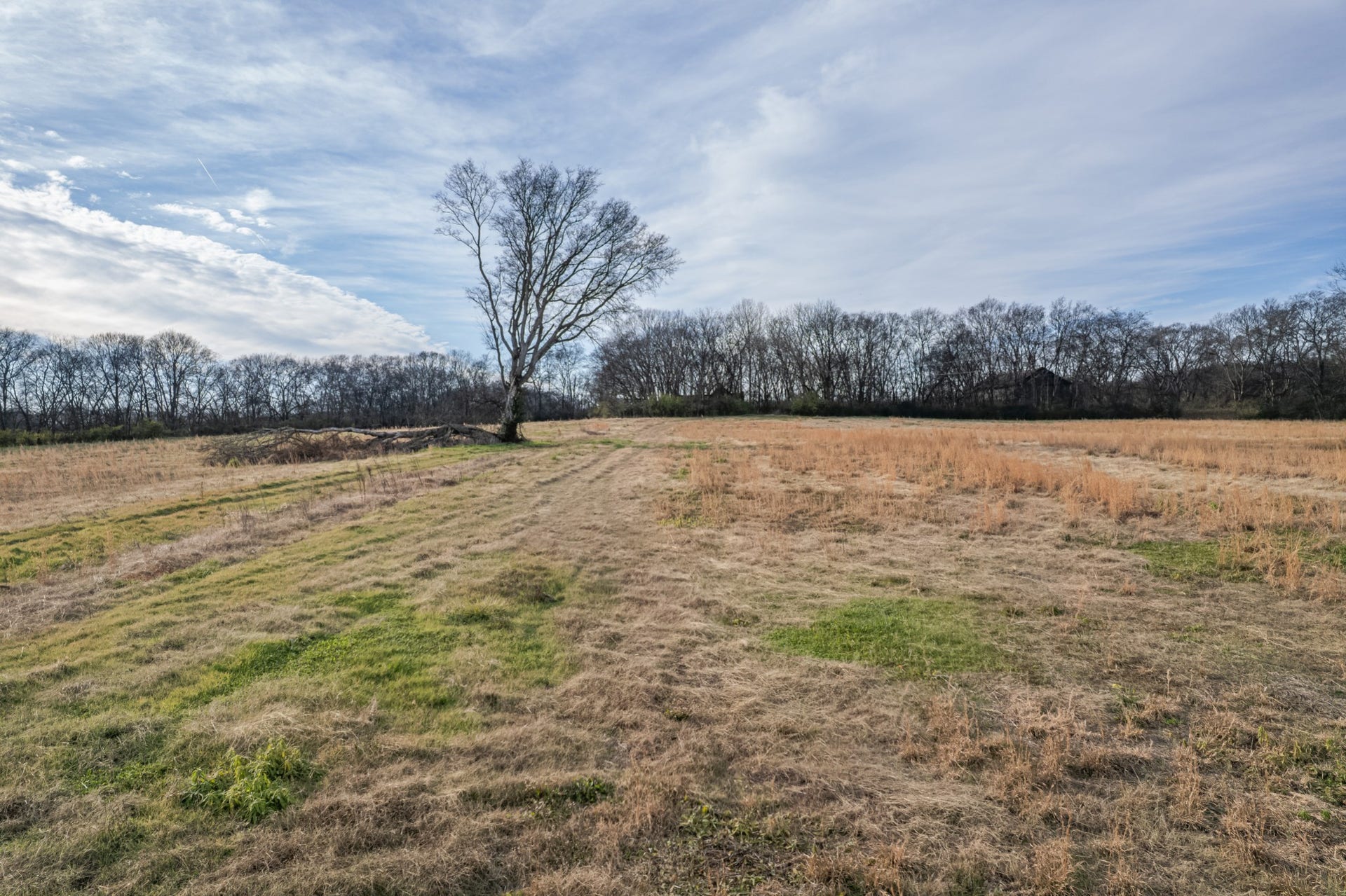 815 S Cross Bridges Rd, Mount Pleasant, TN 38474
