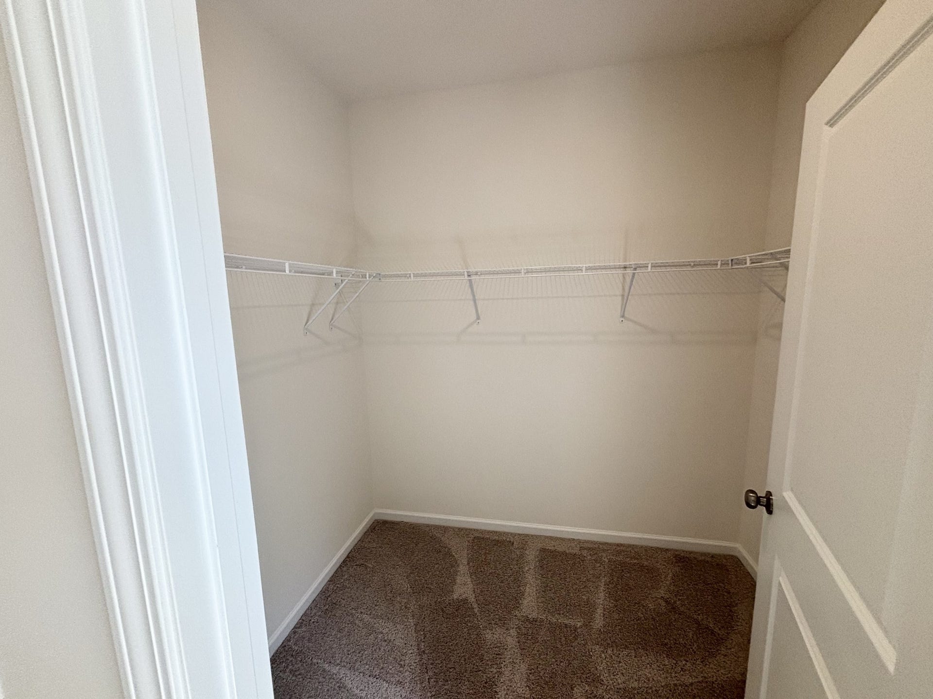 552 Nightengale Ridge Dr, Columbia, TN 38401 Primary bedroom walk in closet