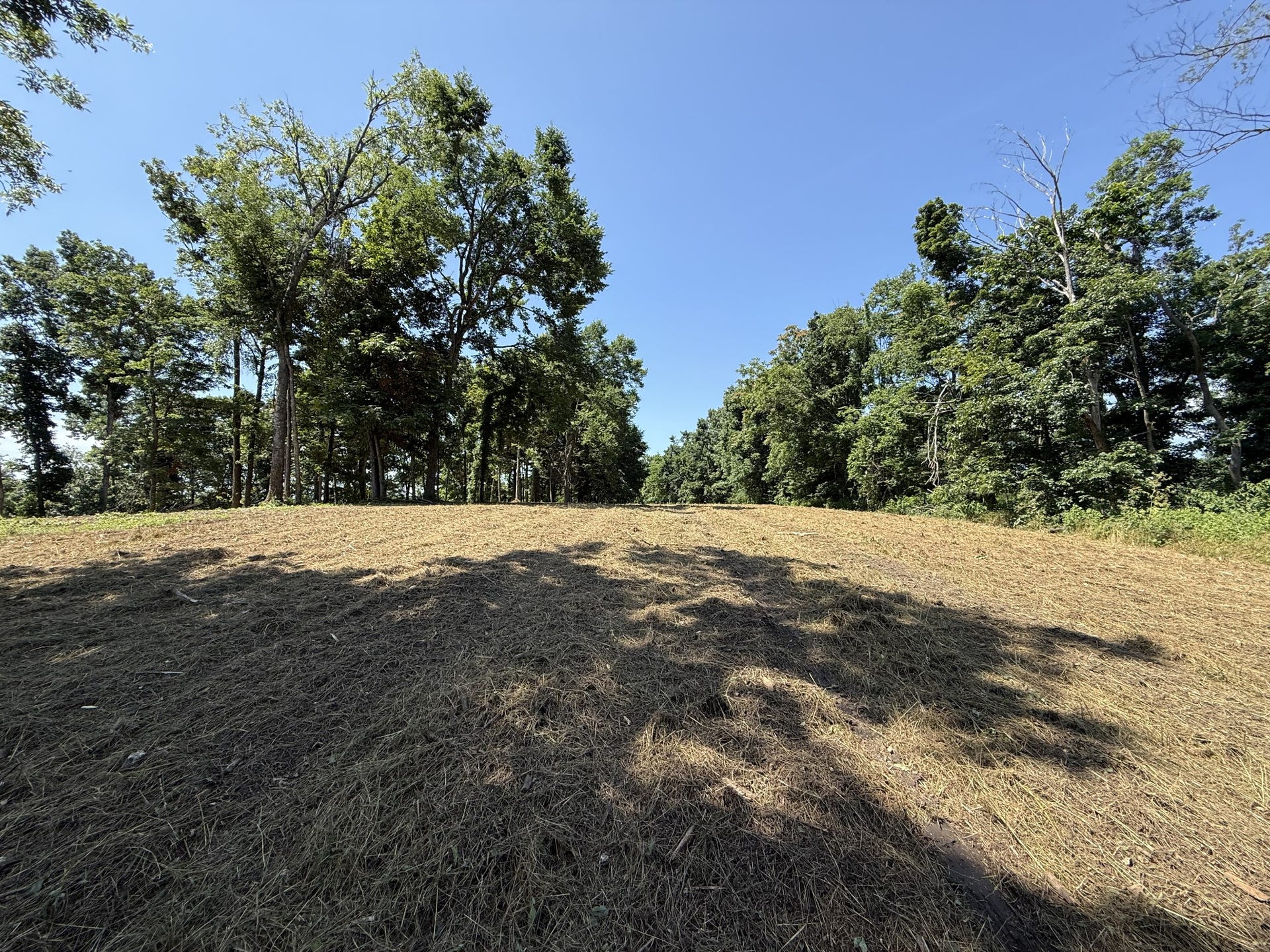 0 Joy, Mount Pleasant, TN 38474 0 Joy, Mount Pleasant, TN 38474