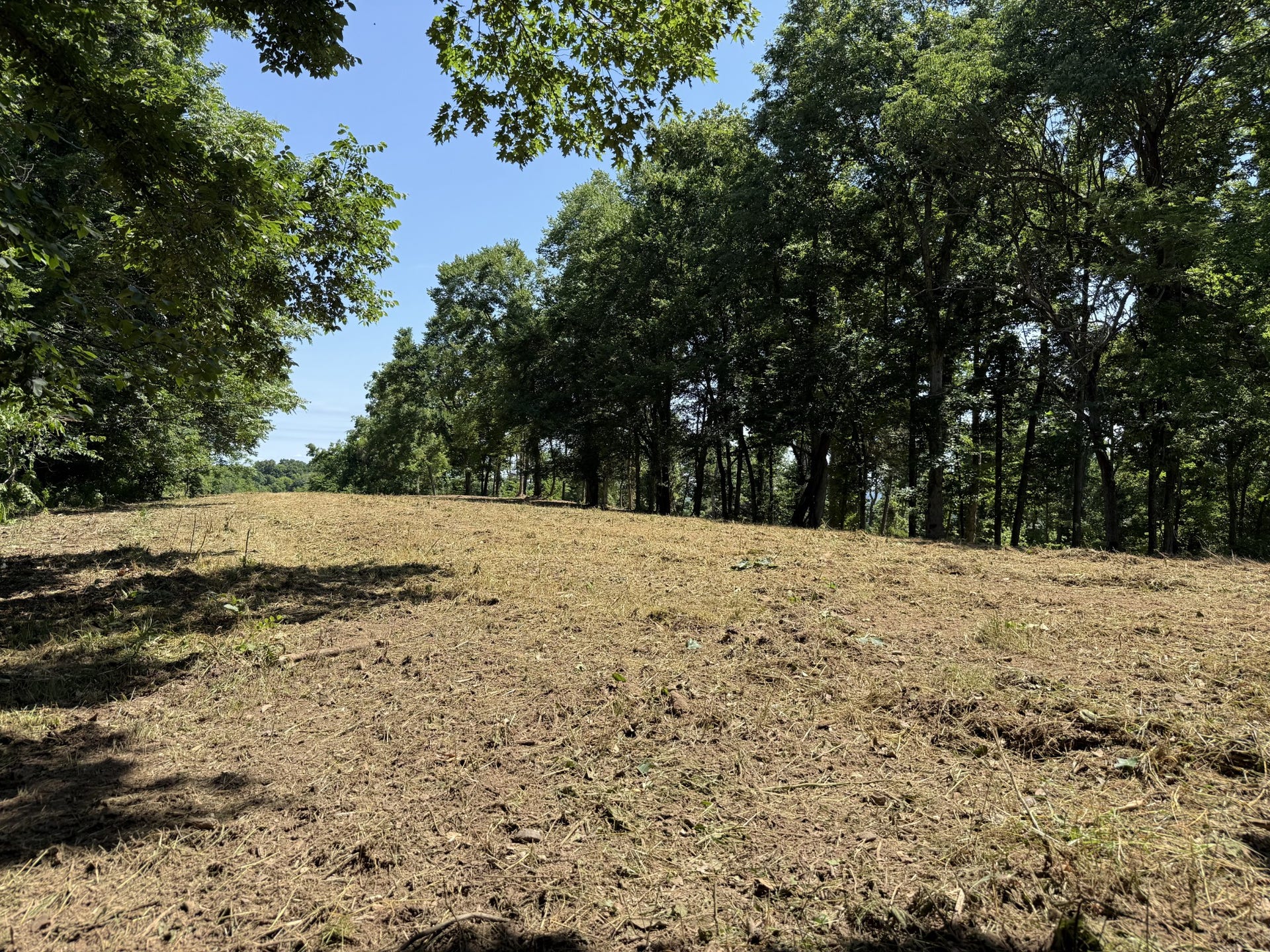 0 Joy, Mount Pleasant, TN 38474 0 Joy, Mount Pleasant, TN 38474
