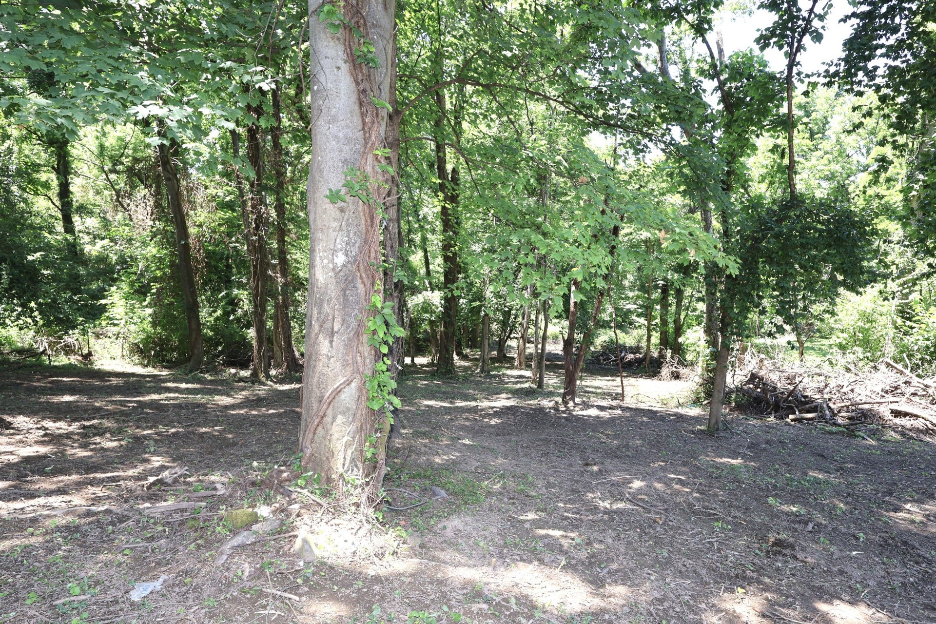 2232 Modena Ct, Nashville, TN 37214 2232 Modena Ct, Nashville, TN 37214
