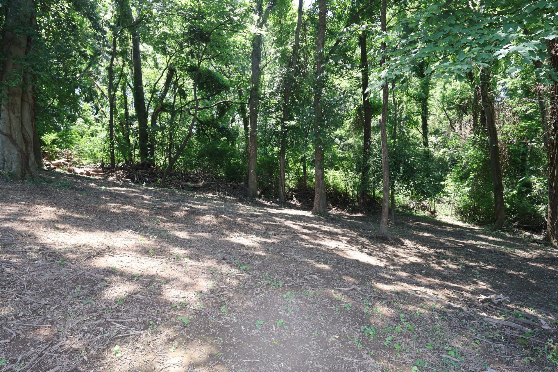 2232 Modena Ct, Nashville, TN 37214 2232 Modena Ct, Nashville, TN 37214