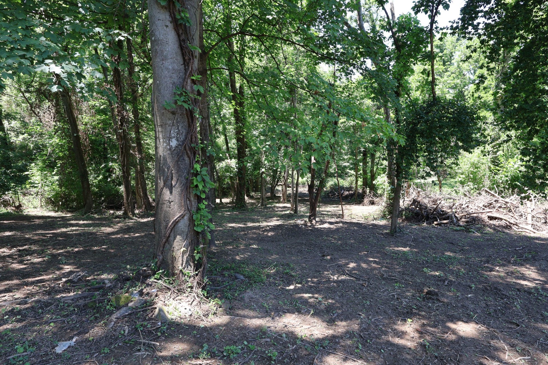 2232 Modena Ct, Nashville, TN 37214 2232 Modena Ct, Nashville, TN 37214