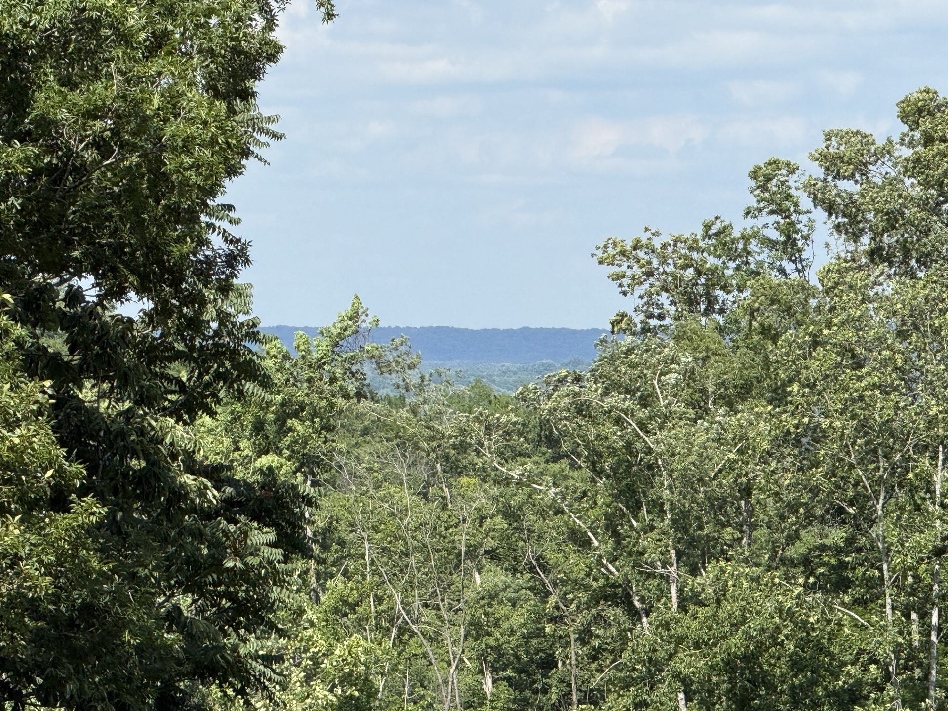 0 Joy, Mount Pleasant, TN 38474 0 Joy, Mount Pleasant, TN 38474