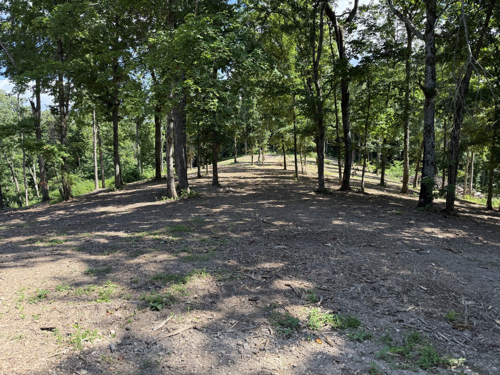 0 Joy, Mount Pleasant, TN 38474 0 Joy, Mount Pleasant, TN 38474