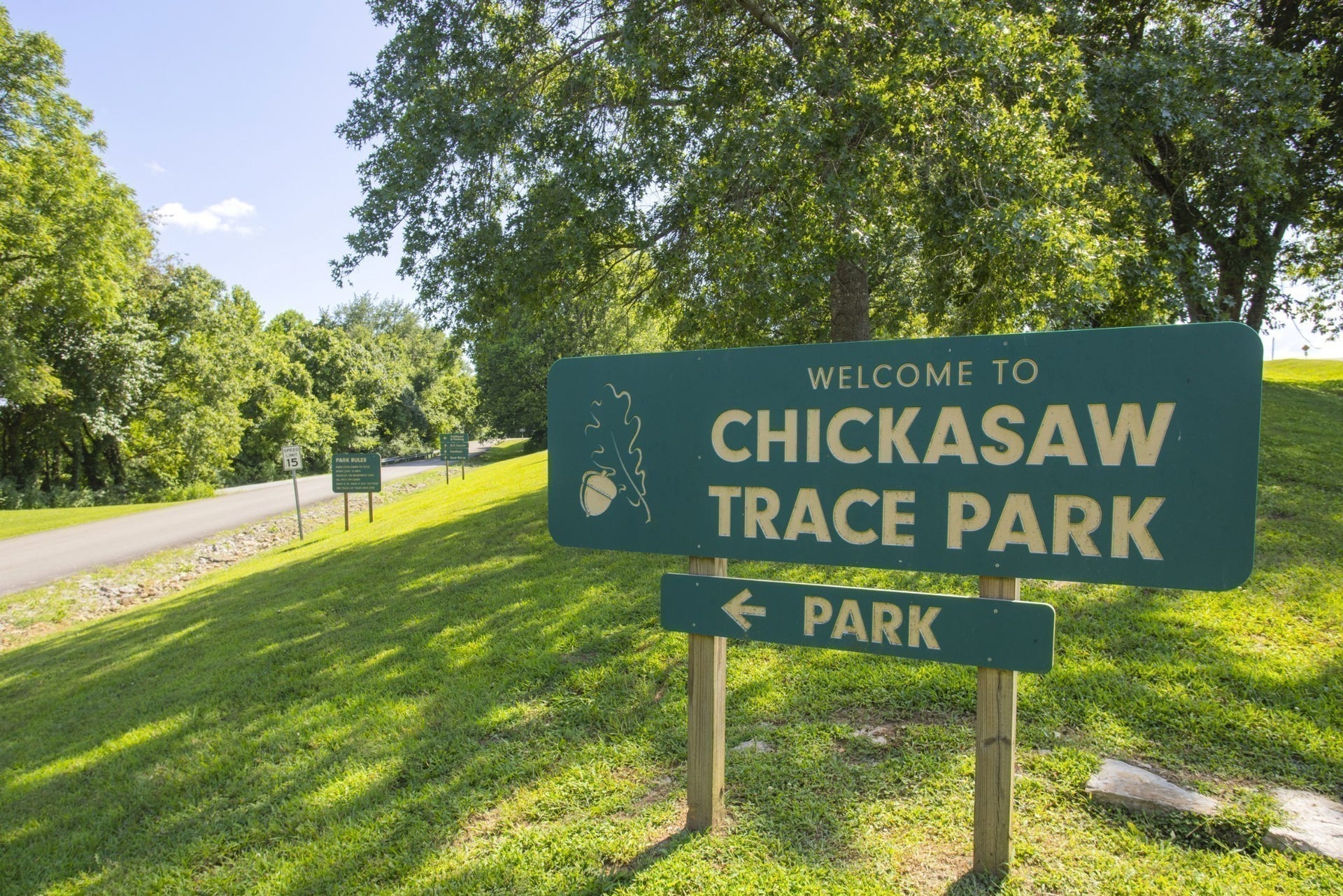 1564 Oak Springs Drive, Columbia, TN 38401 1564 Oak Springs Drive, Columbia, TN 38401