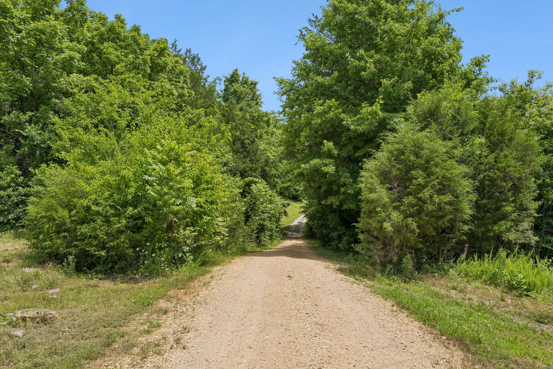 2865 Spring Place Rd, Belfast, TN 37019 2865 Spring Place Rd, Belfast, TN 37019