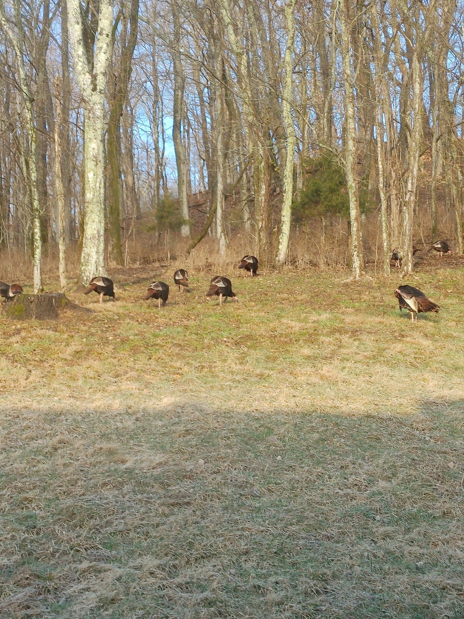 2865 Spring Place Rd, Belfast, TN 37019 2865 Spring Place Rd, Belfast, TN 37019