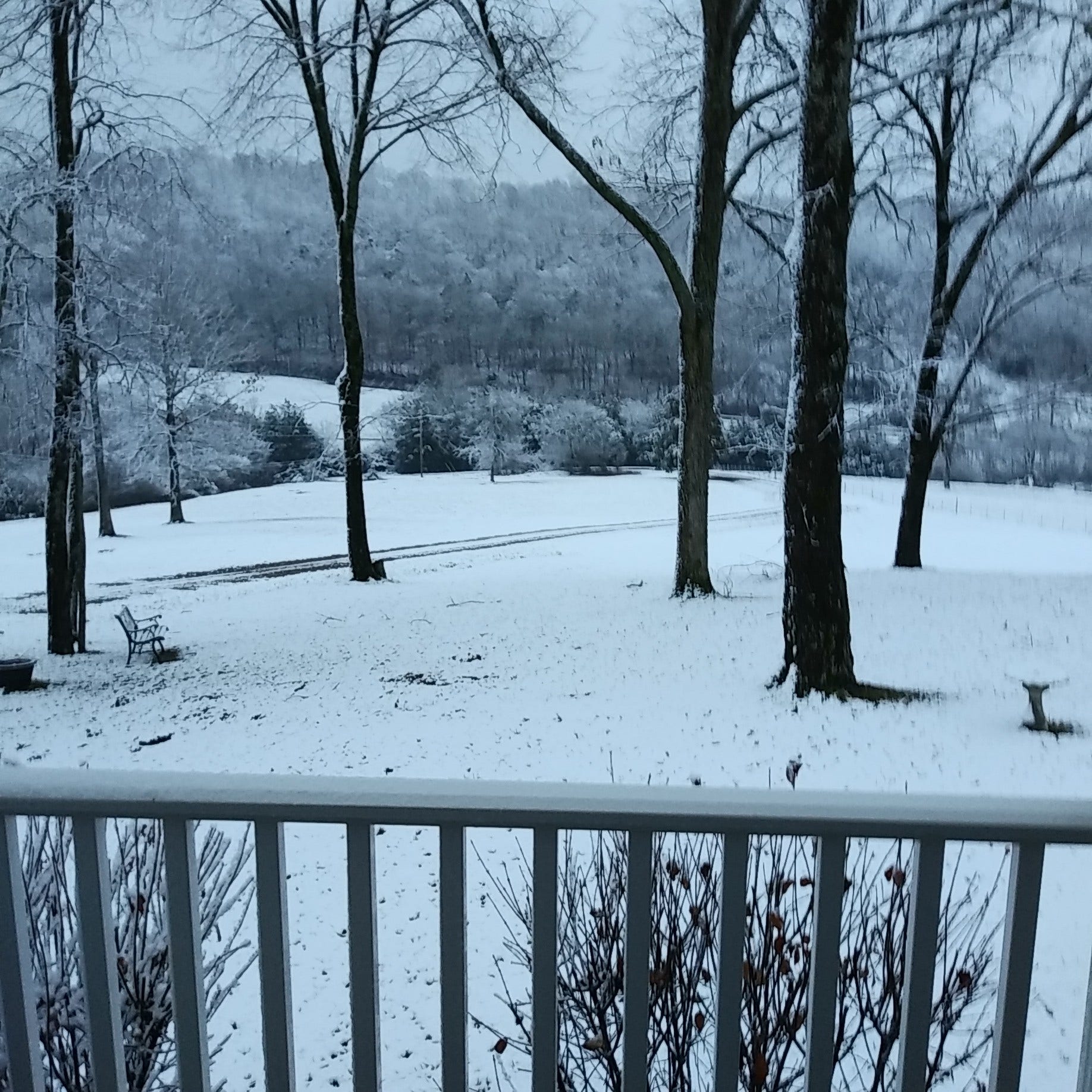 2865 Spring Place Rd, Belfast, TN 37019 2865 Spring Place Rd, Belfast, TN 37019
