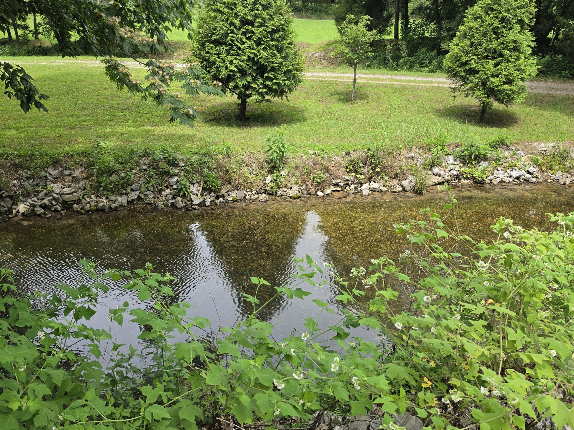 448 Osage Ln, Bradyville, TN 37026 448 Osage Ln, Bradyville, TN 37026