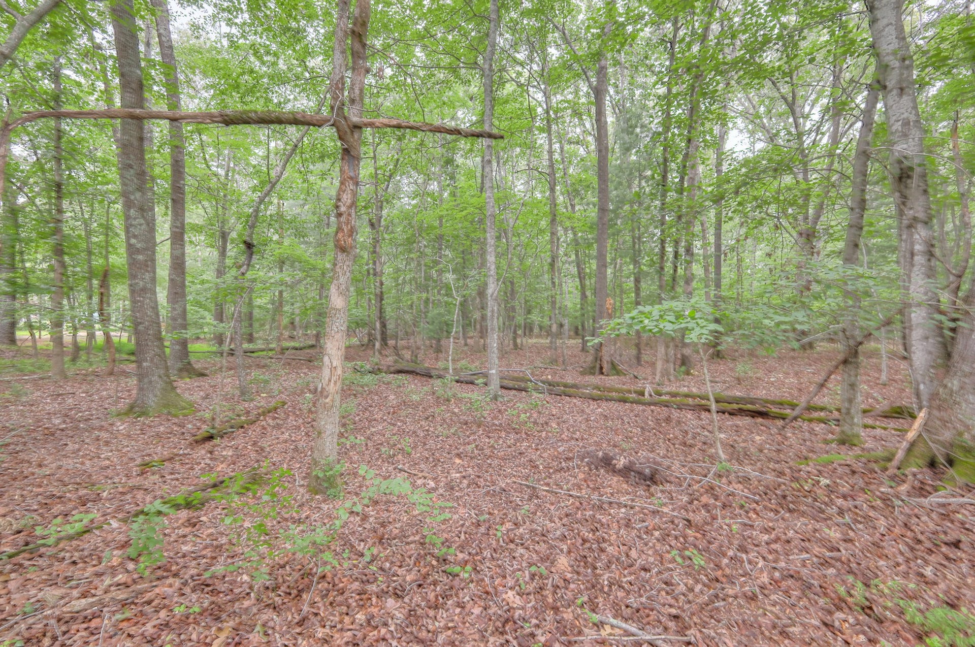 1104 Remington Pl, Manchester, TN 37355 1104 Remington Pl, Manchester, TN 37355