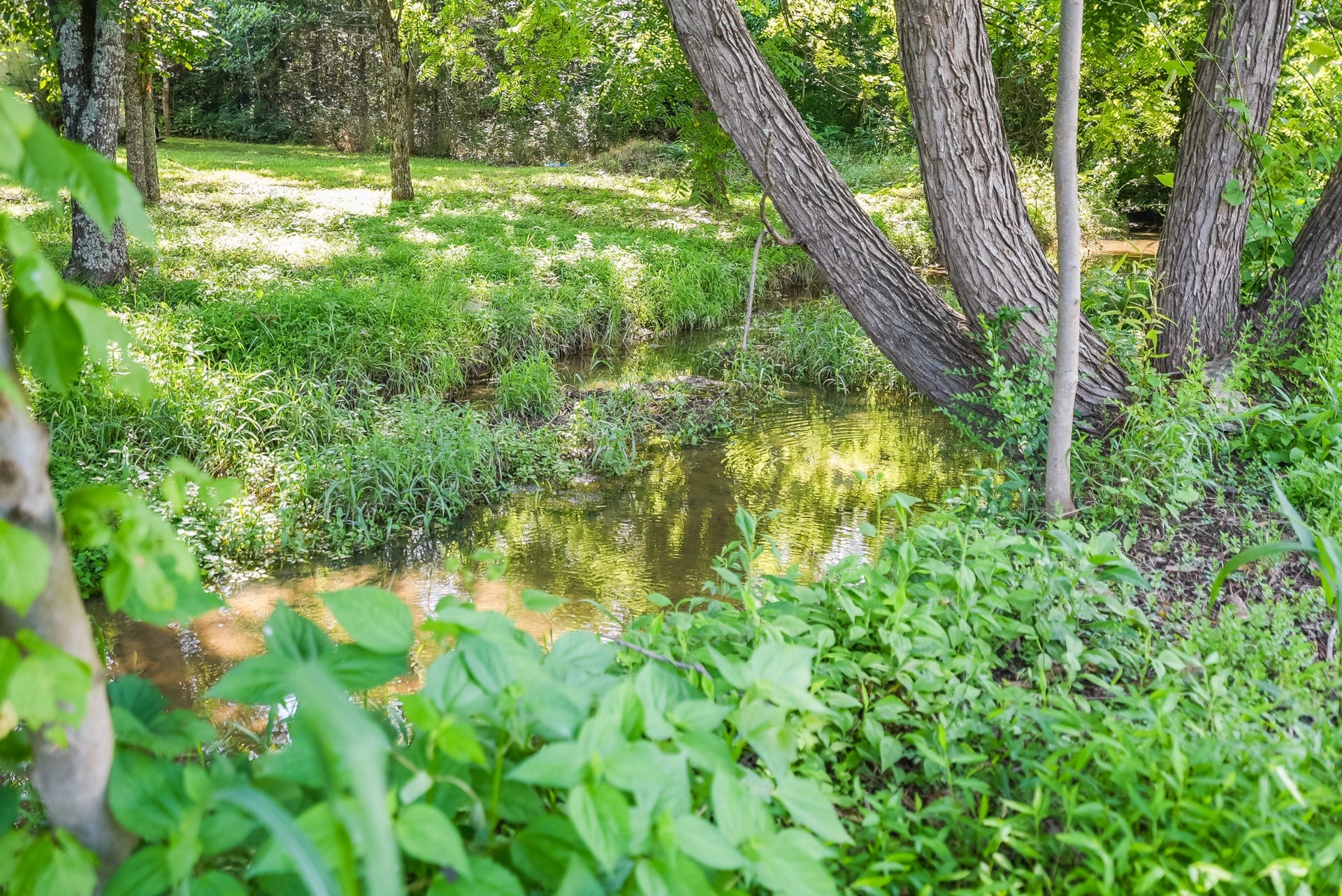 620 Jerre Ln, Lewisburg, TN 37091 620 Jerre Ln, Lewisburg, TN 37091
