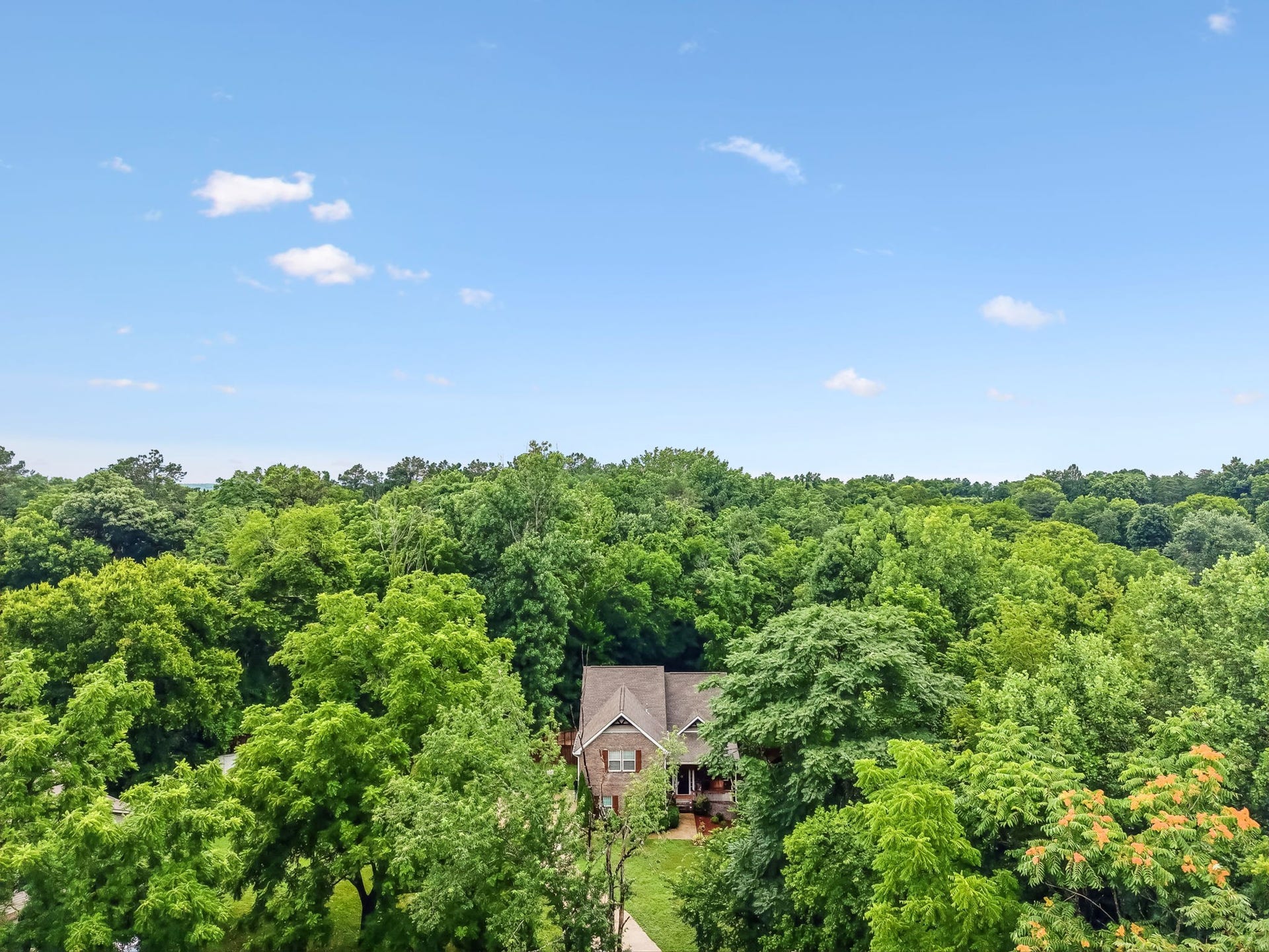 113 Summit Dr, Columbia, TN 38401 113 Summit Dr, Columbia, TN 38401