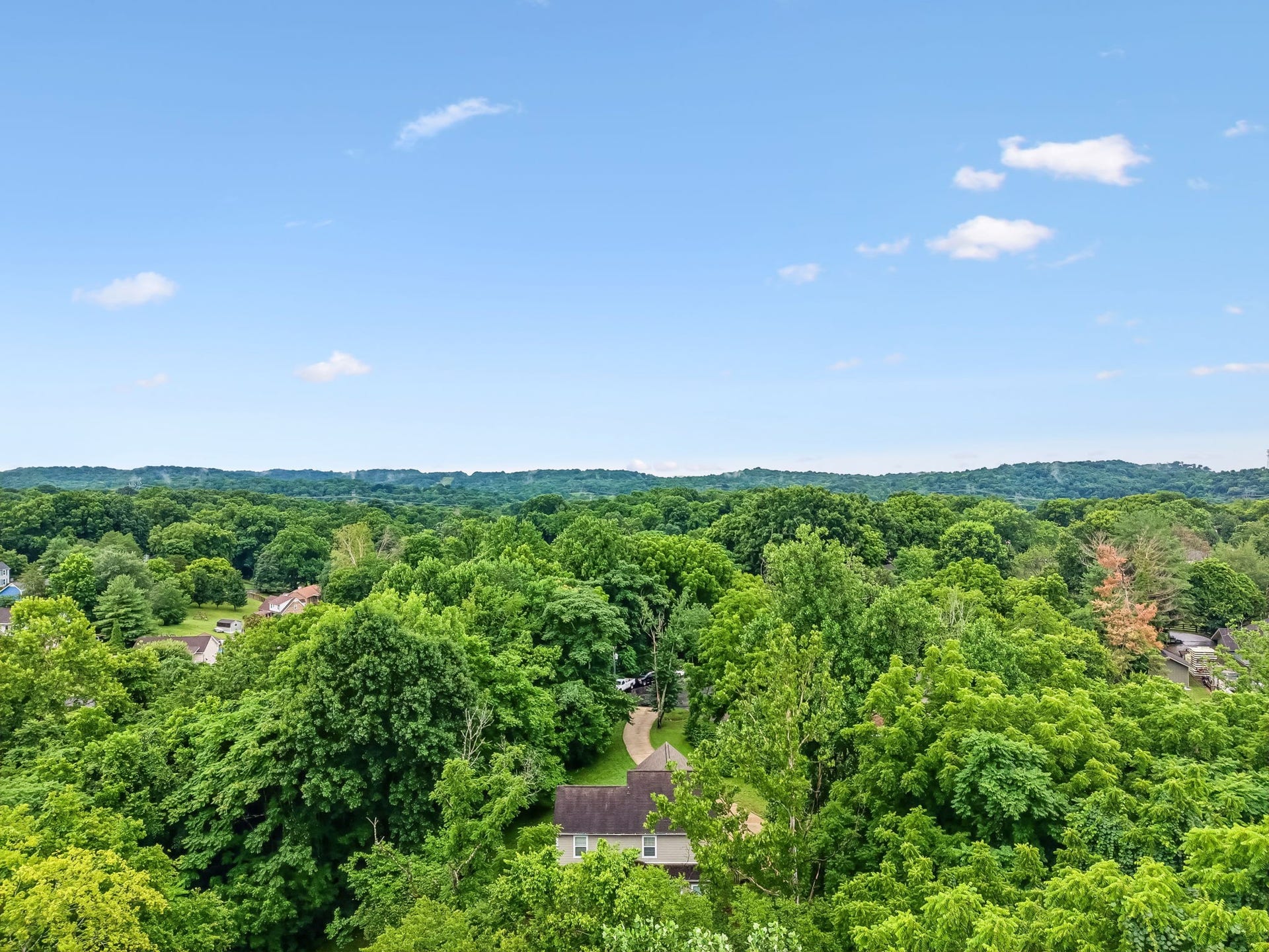 113 Summit Dr, Columbia, TN 38401 113 Summit Dr, Columbia, TN 38401
