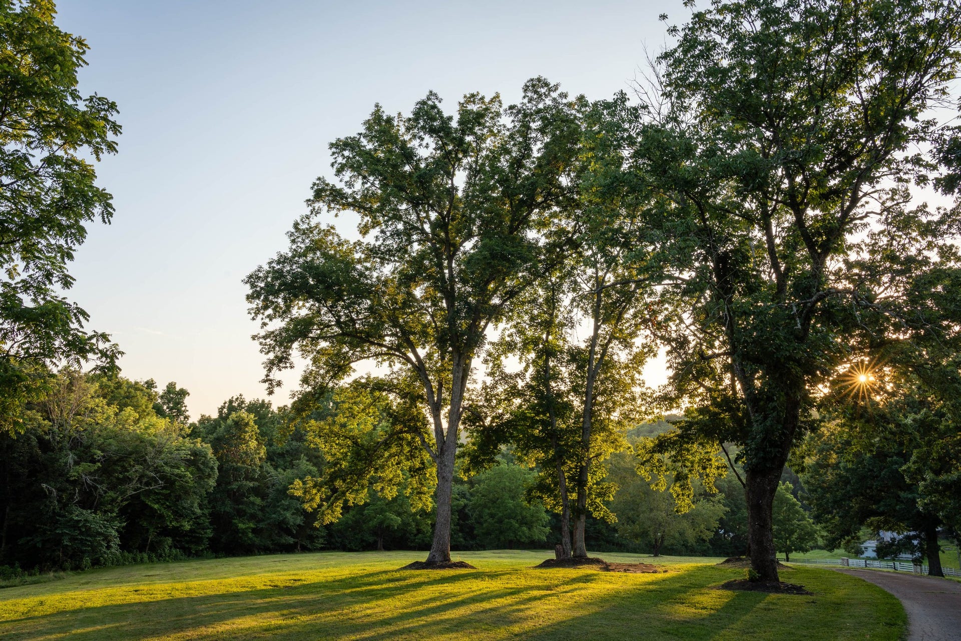 3353 Foster Chapel Rd, Columbia, TN 38401 3353 Foster Chapel Rd, Columbia, TN 38401