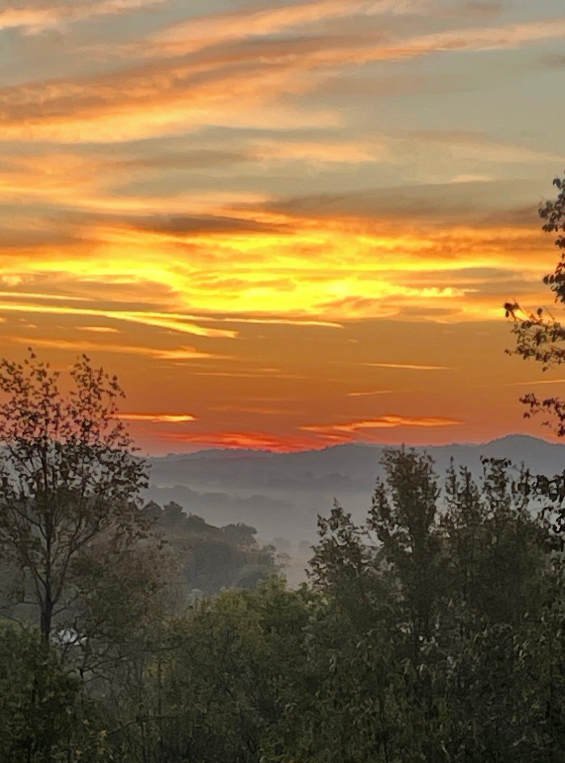 2472 Taylor Rd, Columbia, TN 38401 Beautiful sunset view from the front porch.