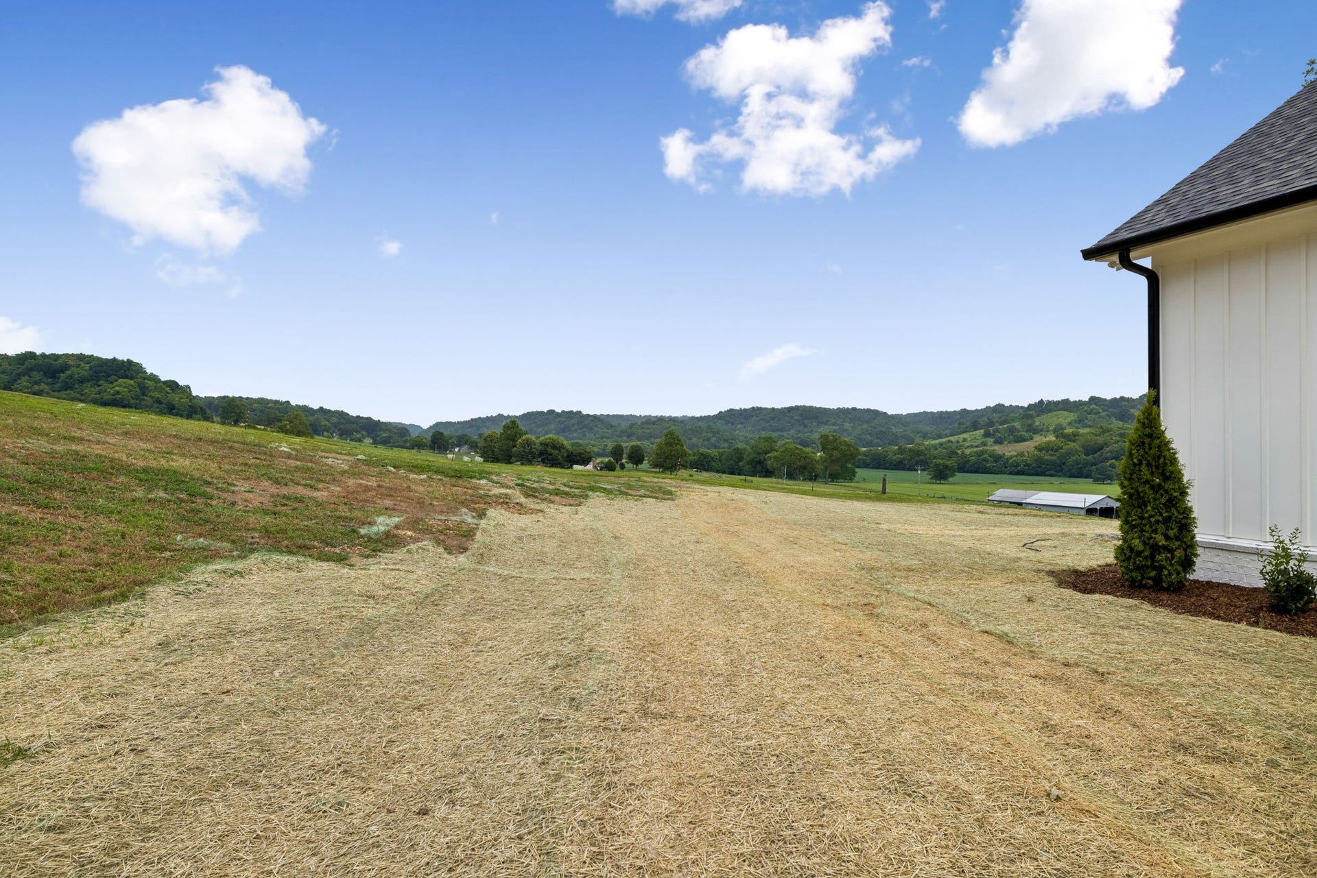 2472 Taylor Rd, Columbia, TN 38401 View from the back yard! Plenty of space for a pool and outdoor living!