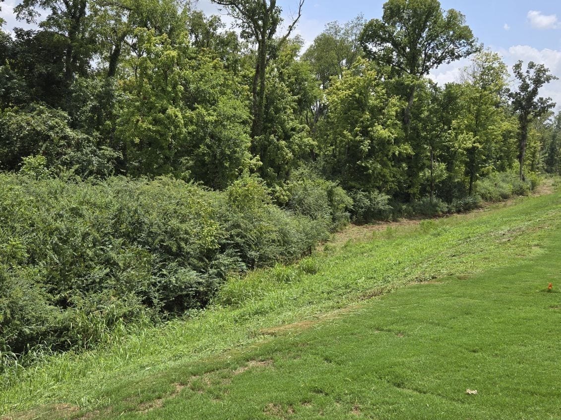 4311 Fir Tree Way, Murfreesboro, TN 37129 4311 Fir Tree Way, Murfreesboro, TN 37129