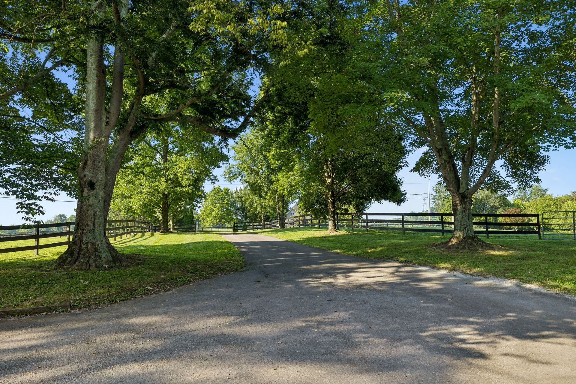 3188 Hampshire Pike, Mount Pleasant, TN 38474 3188 Hampshire Pike, Mount Pleasant, TN 38474