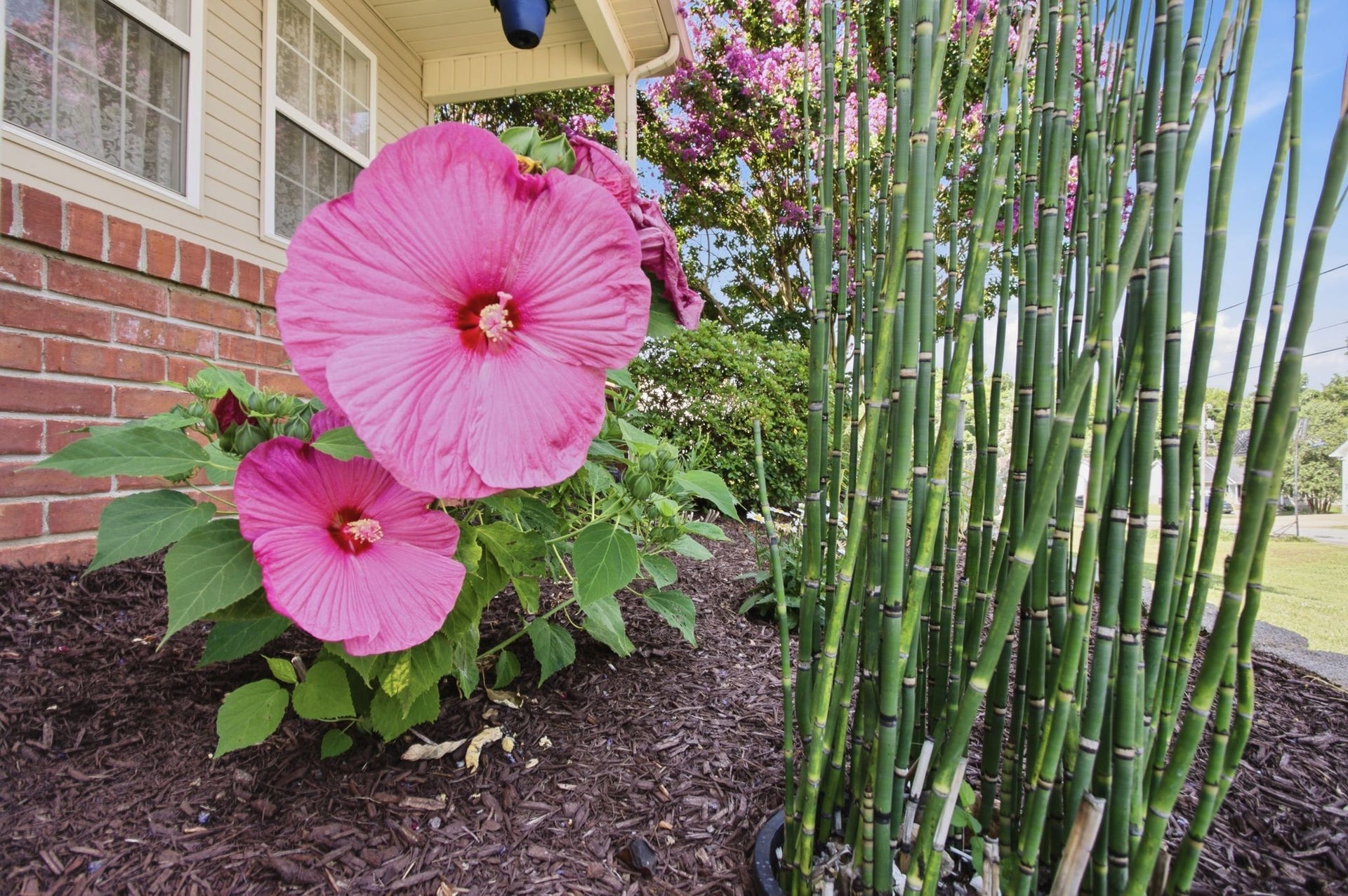 Beautiful flowers too! Thanks for visiting!  Make an appointment today to see this lovely home in person!  You won't be disappointed!