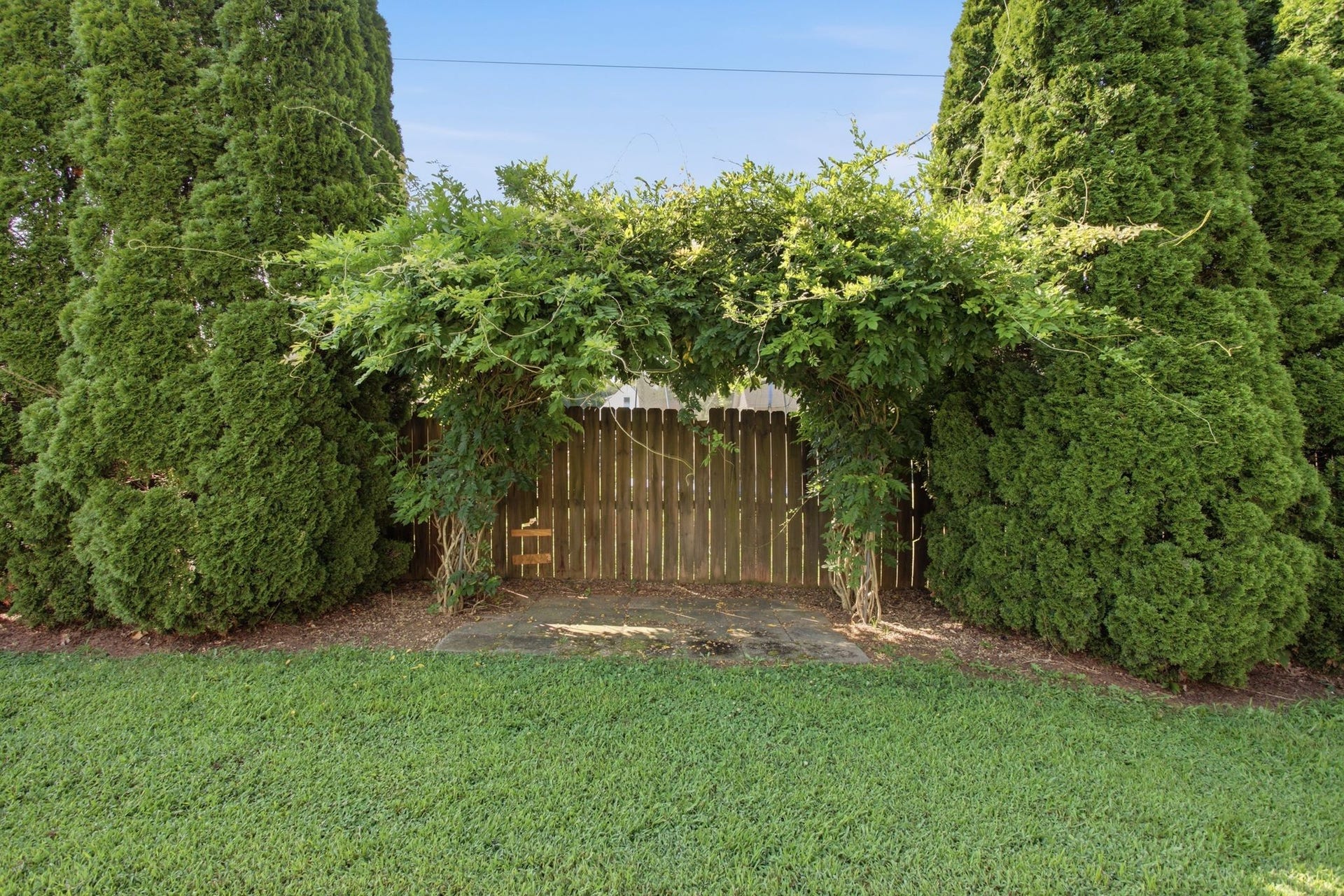 Pergola
