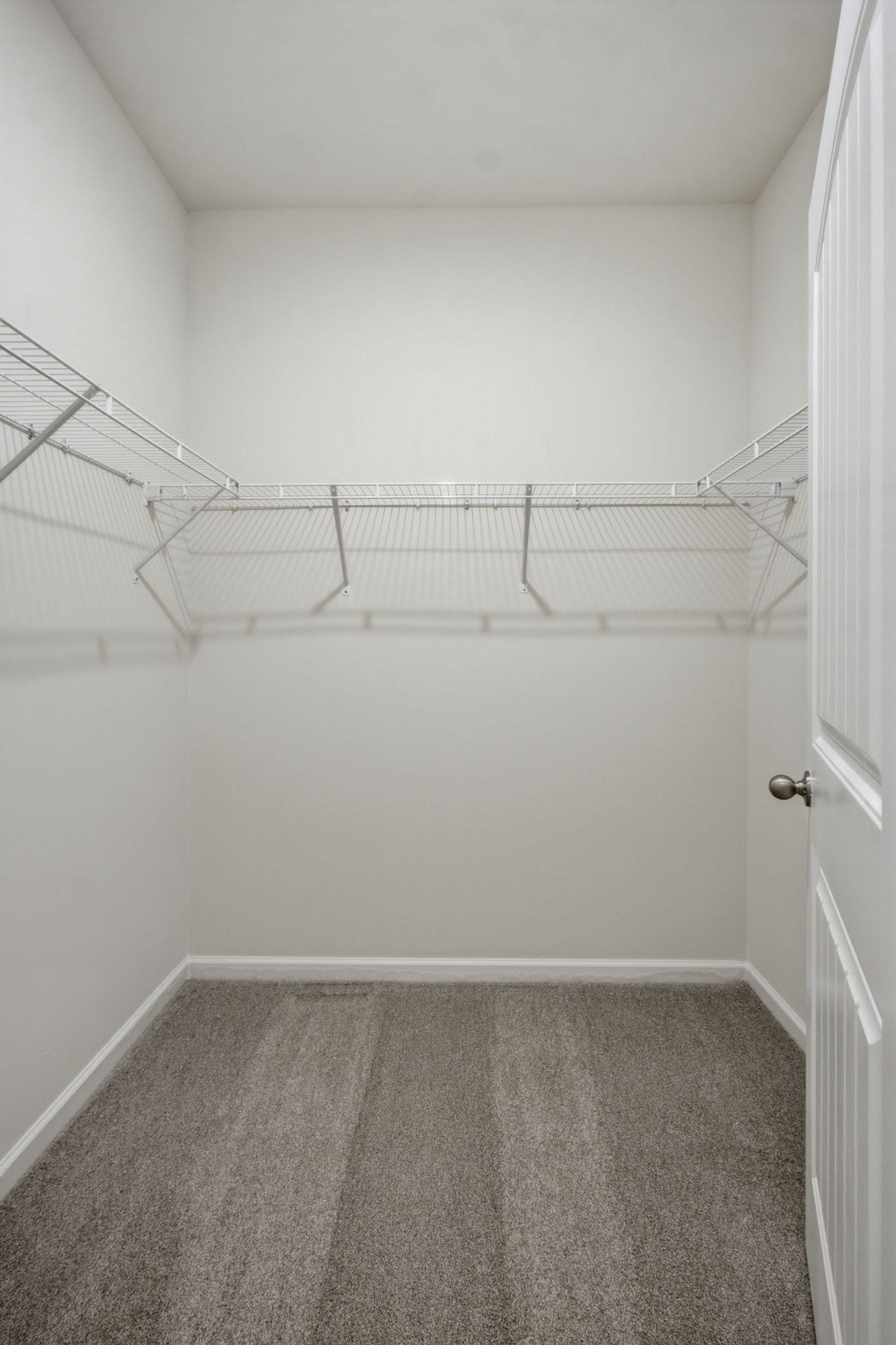 716 Prominence Rd, Columbia, TN 38401 Primary Suite Walk-In Closet