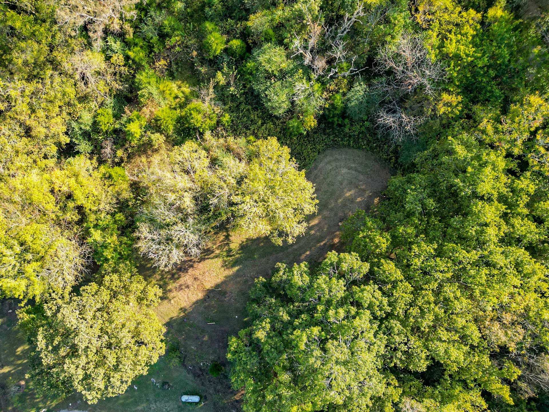 2100 Hill Station Rd, Columbia, TN 38401