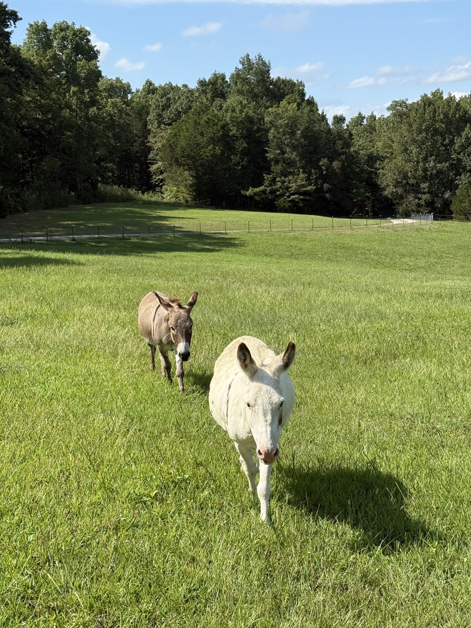 2100 Hill Station Rd, Columbia, TN 38401