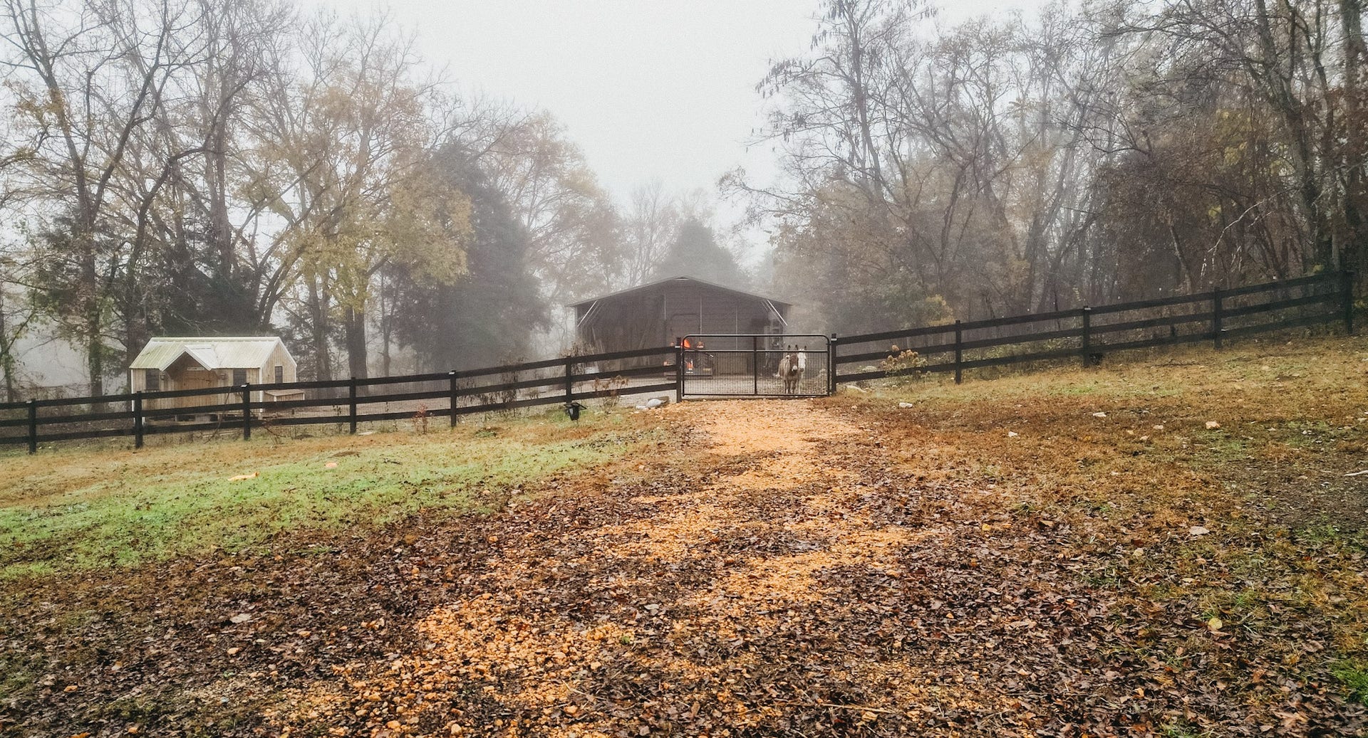 2100 Hill Station Rd, Columbia, TN 38401