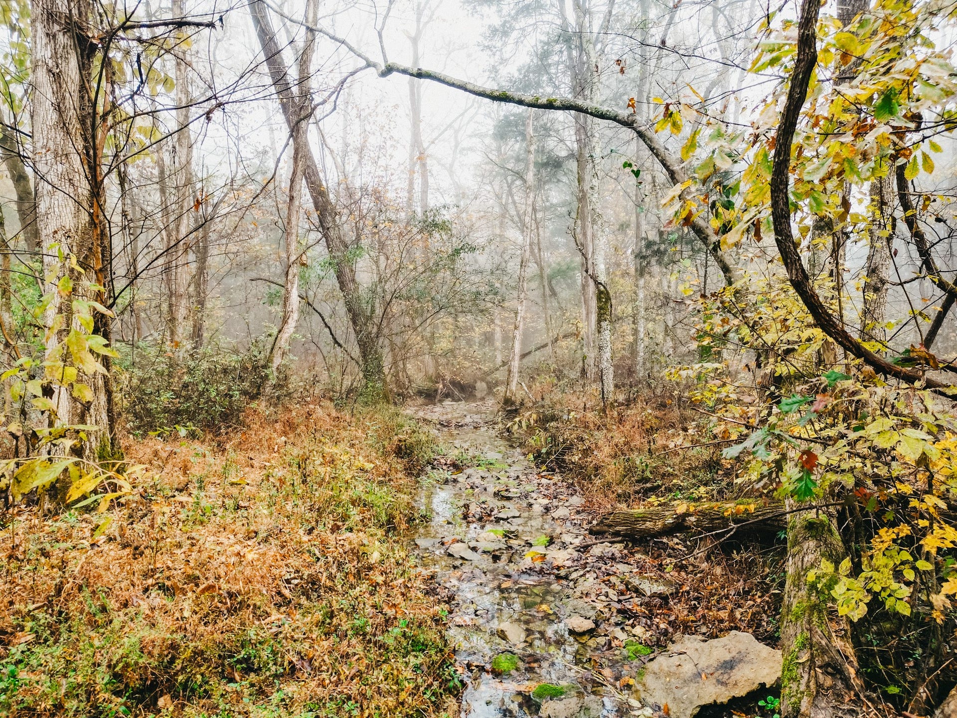 2100 Hill Station Rd, Columbia, TN 38401