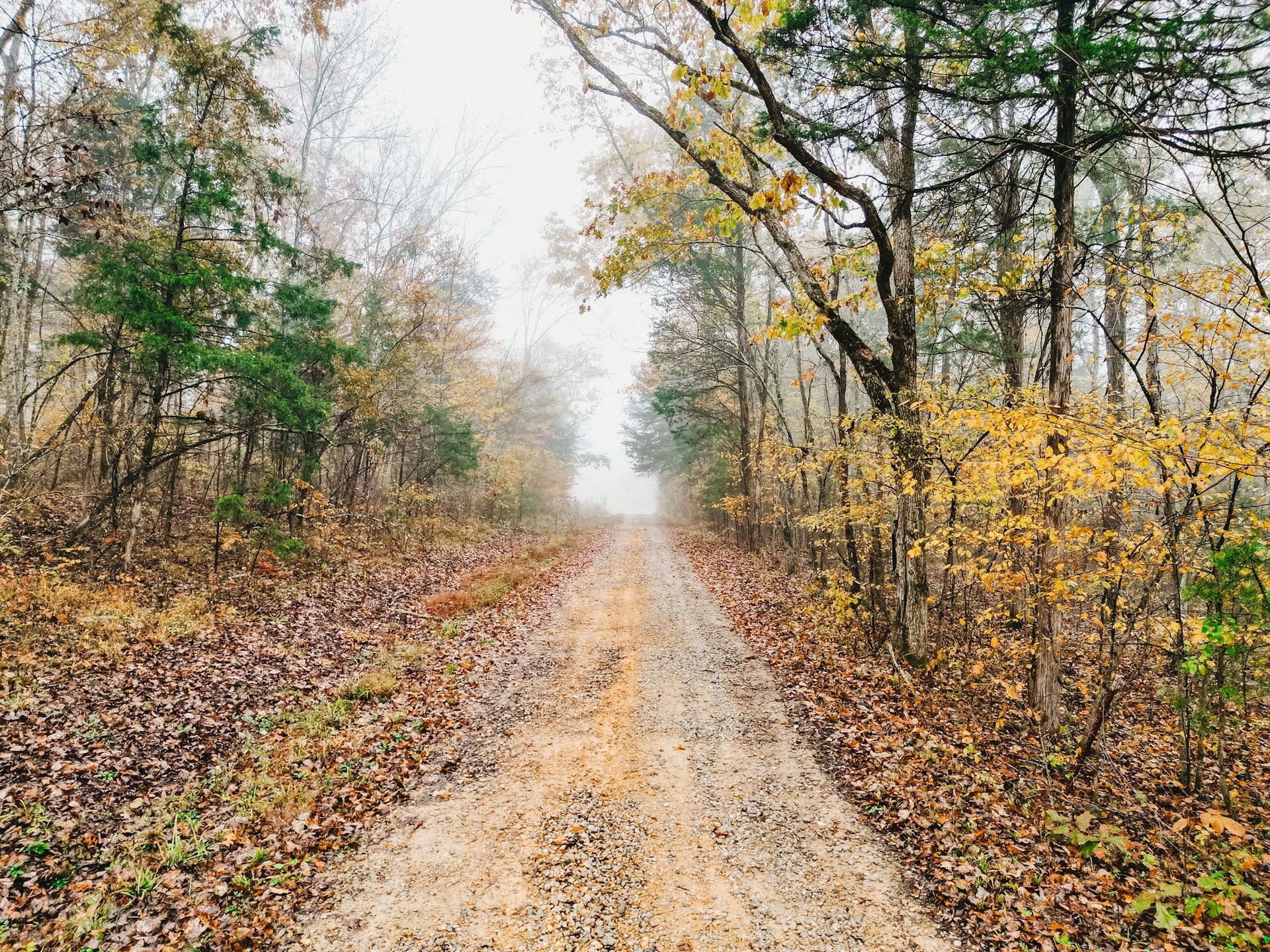 2100 Hill Station Rd, Columbia, TN 38401