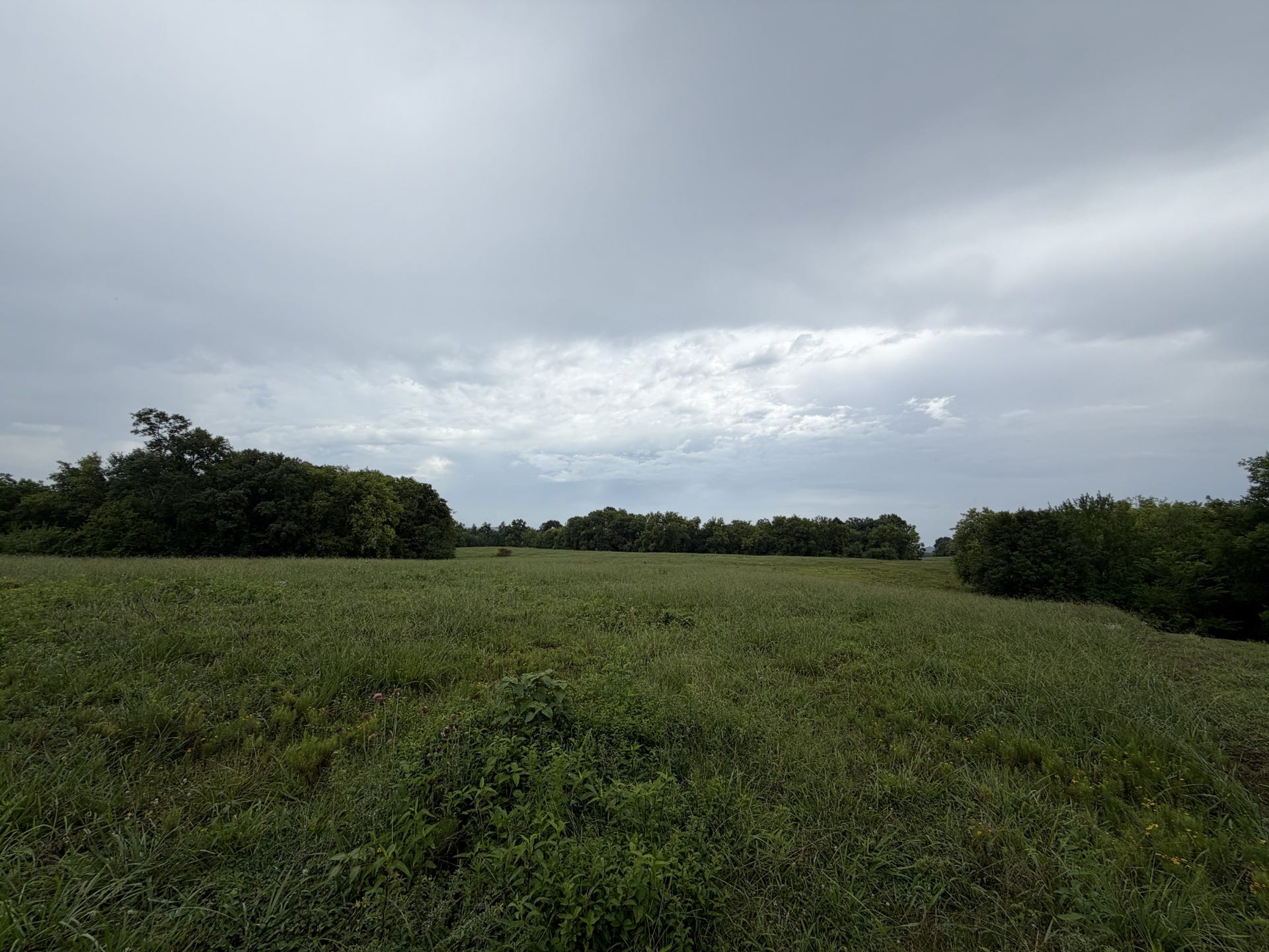 0 Massey Road, Mount Pleasant, TN 38474 0 Massey Road, Mount Pleasant, TN 38474