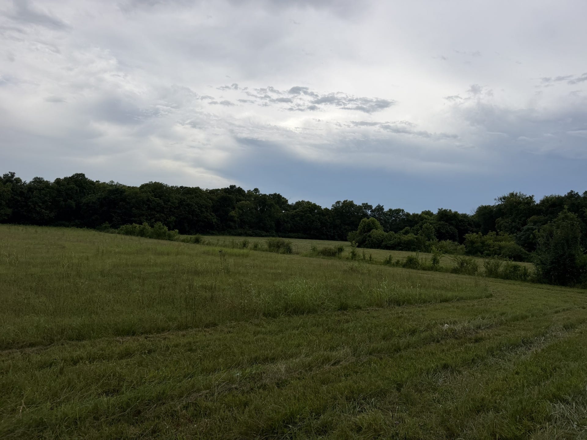 0 Massey Road, Mount Pleasant, TN 38474 0 Massey Road, Mount Pleasant, TN 38474