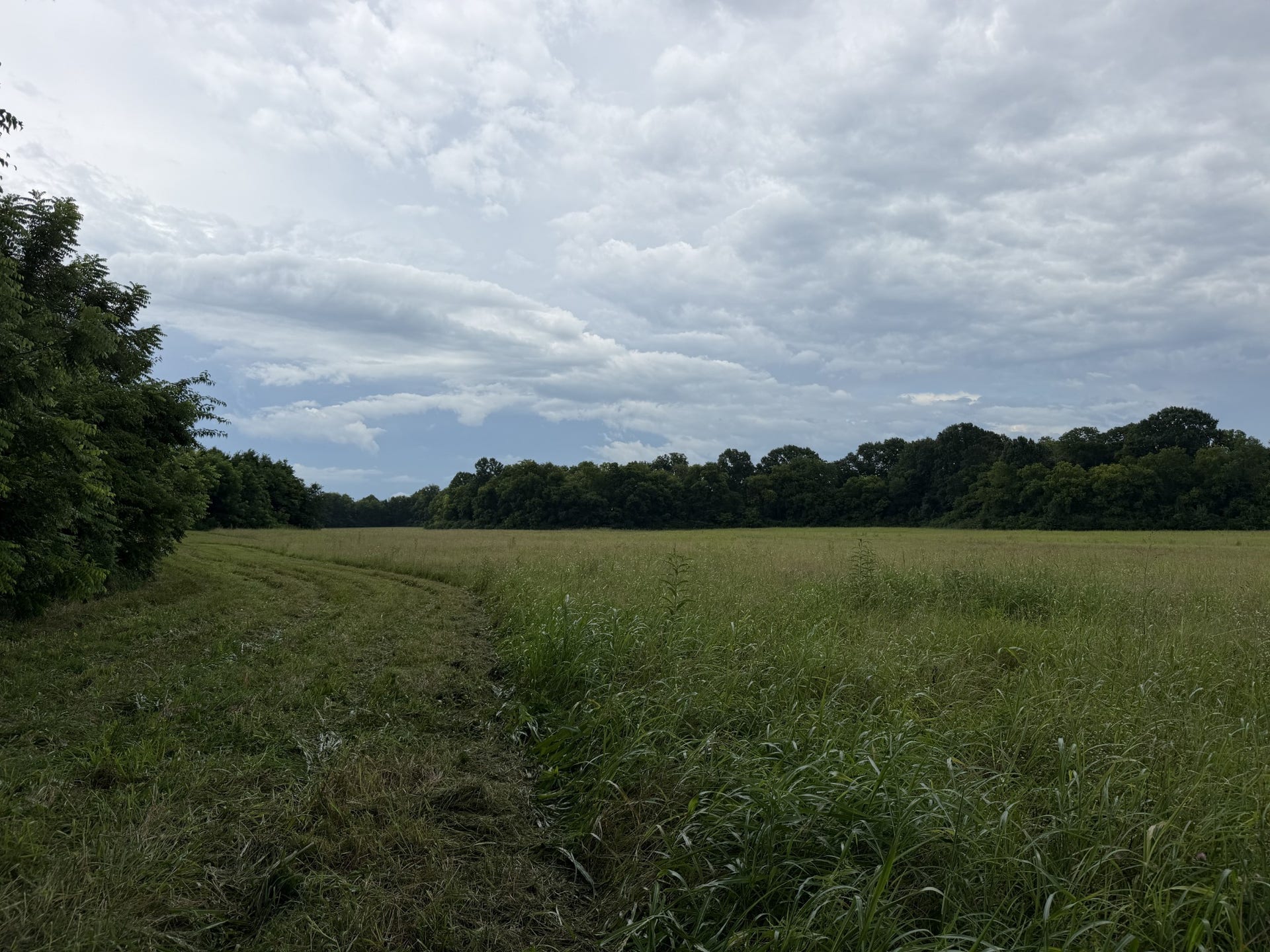 0 Massey Road, Mount Pleasant, TN 38474 0 Massey Road, Mount Pleasant, TN 38474
