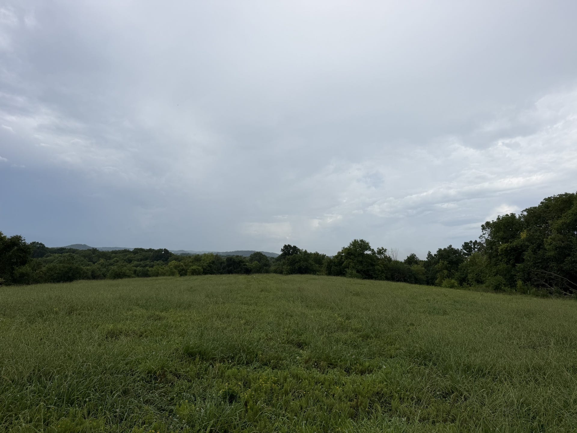 0 Massey Road, Mount Pleasant, TN 38474 0 Massey Road, Mount Pleasant, TN 38474